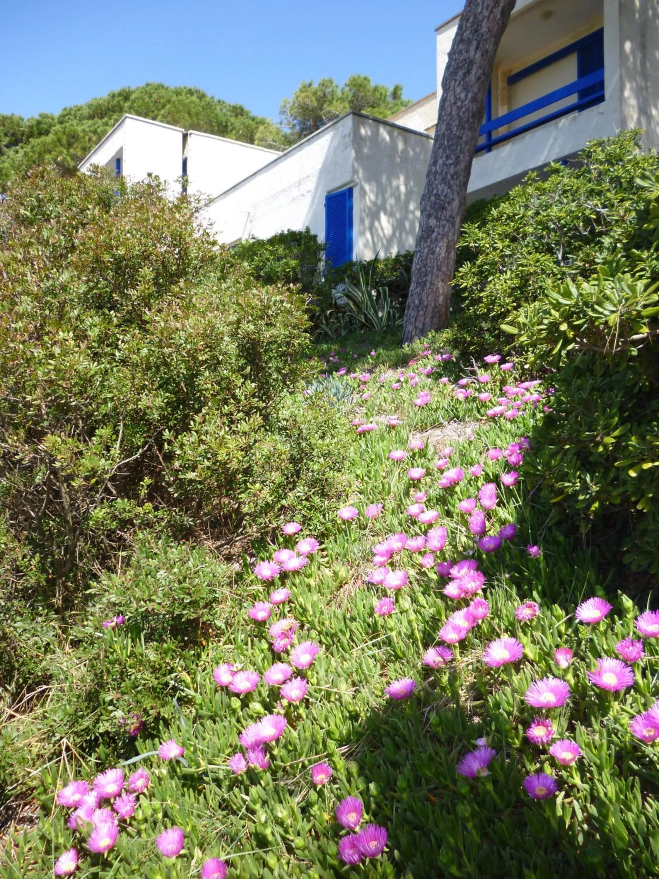Garden in Baia Etrusca Resort