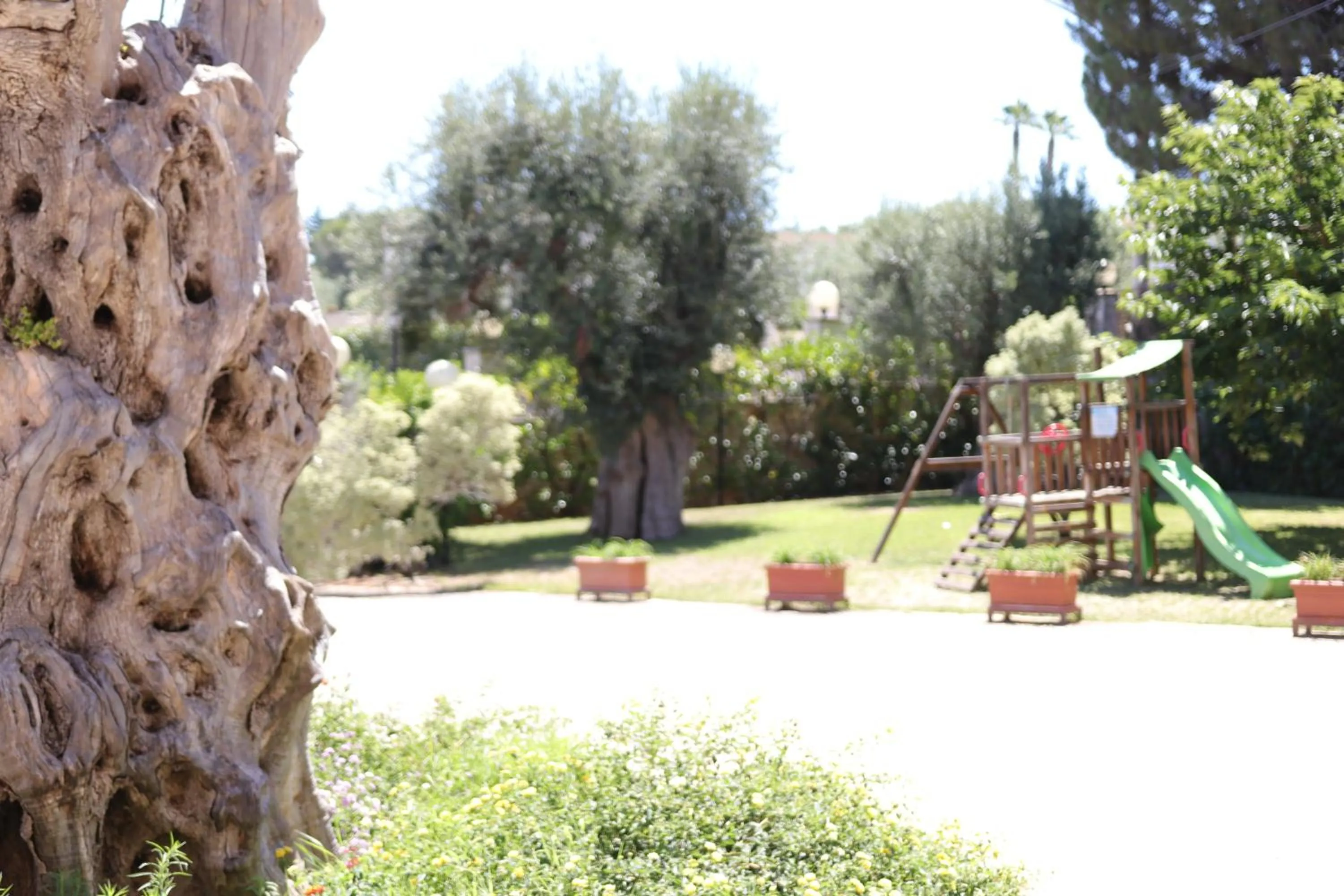 Balcony/Terrace in Hotel Castel Miramonti