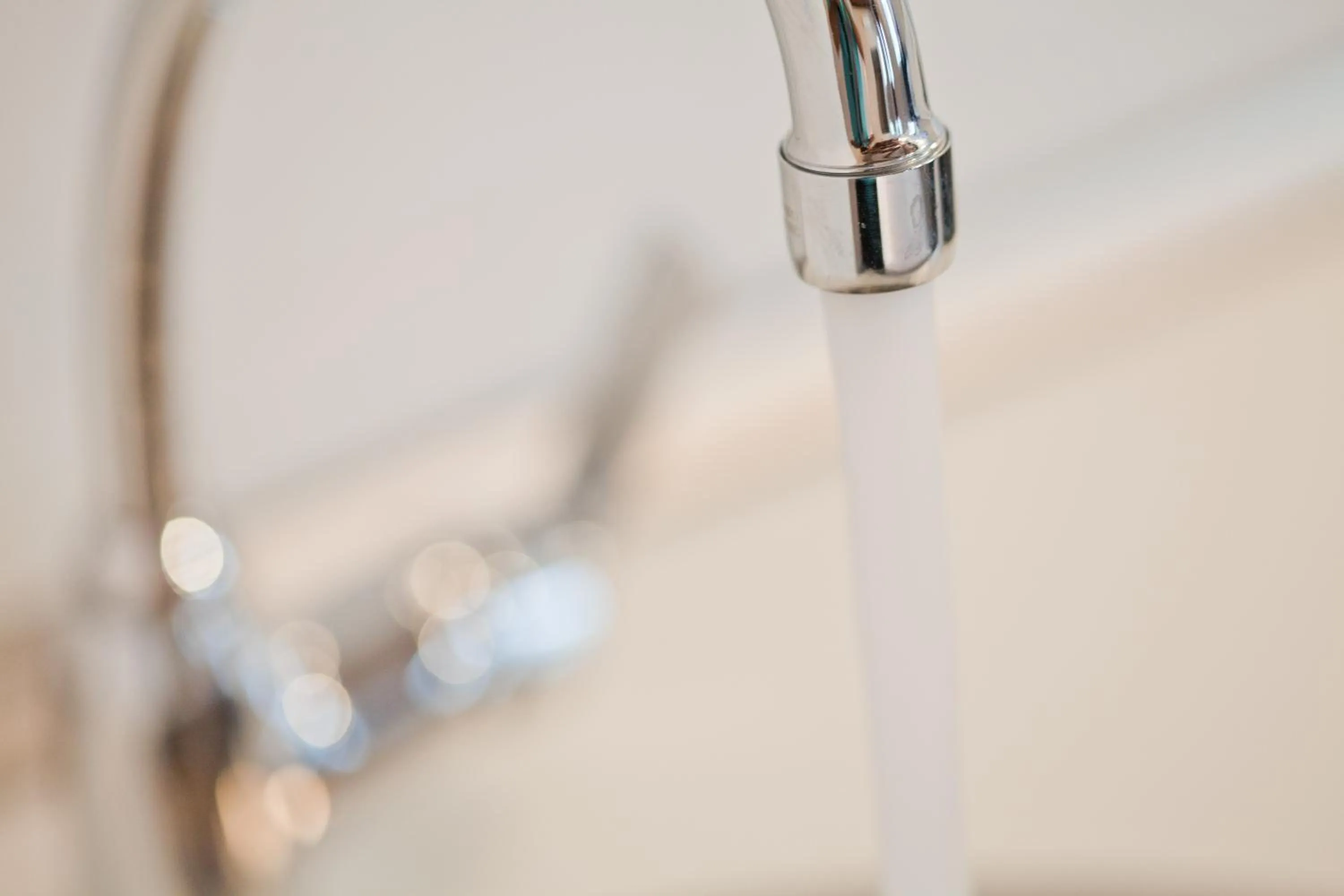 Decorative detail in Suites You Nickel