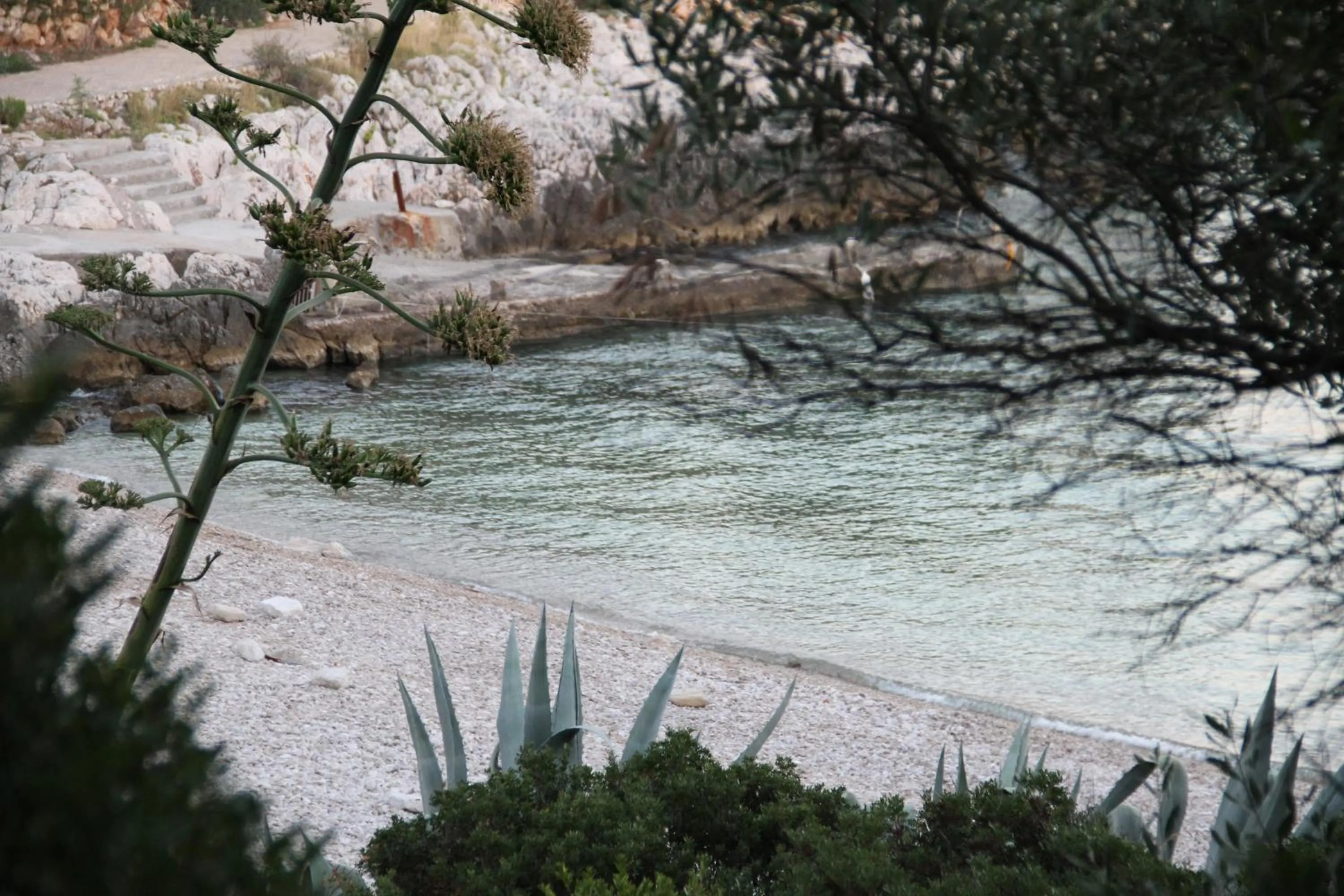 Beach in Apartments Plazibat