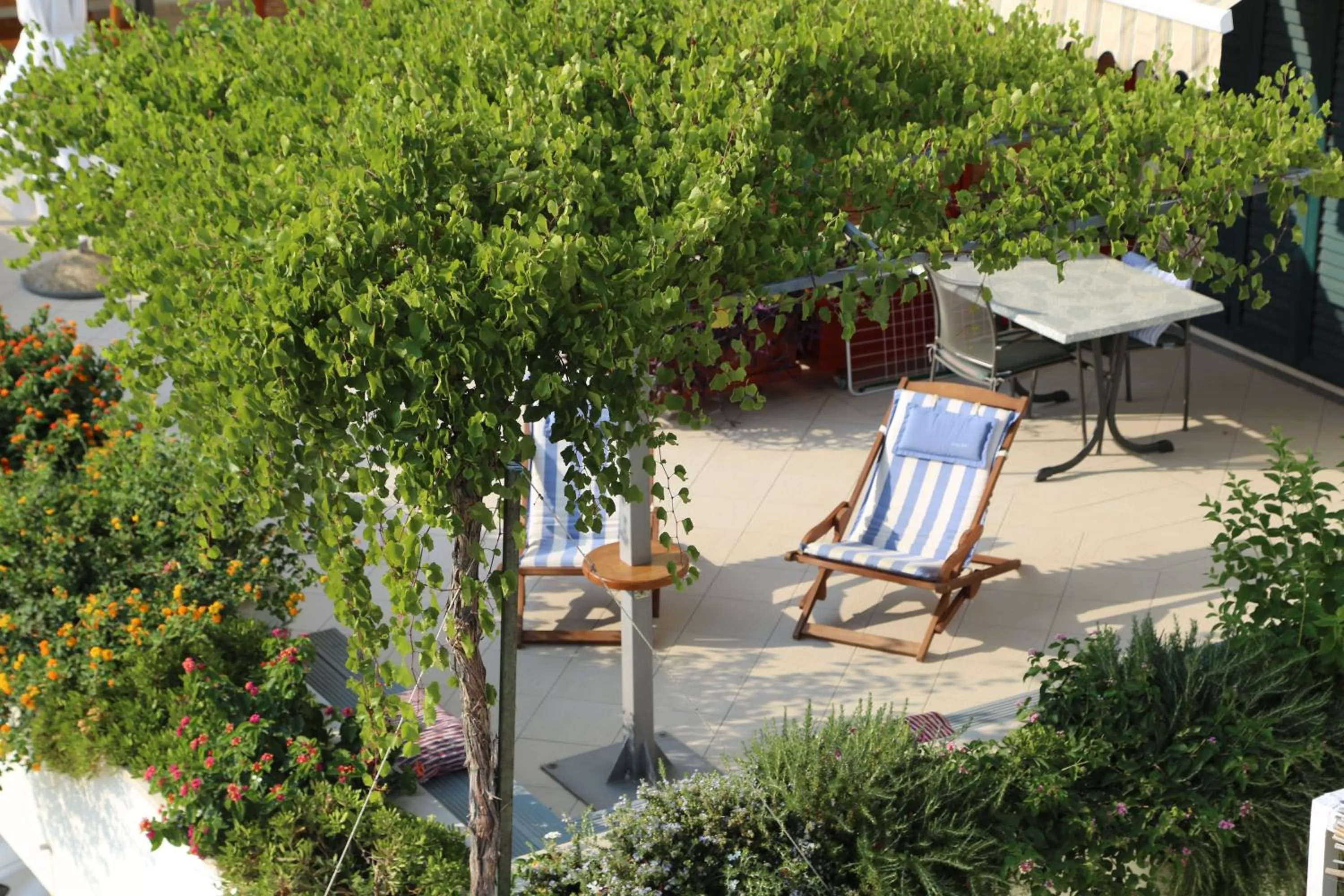 Balcony/Terrace in Apartments Plazibat