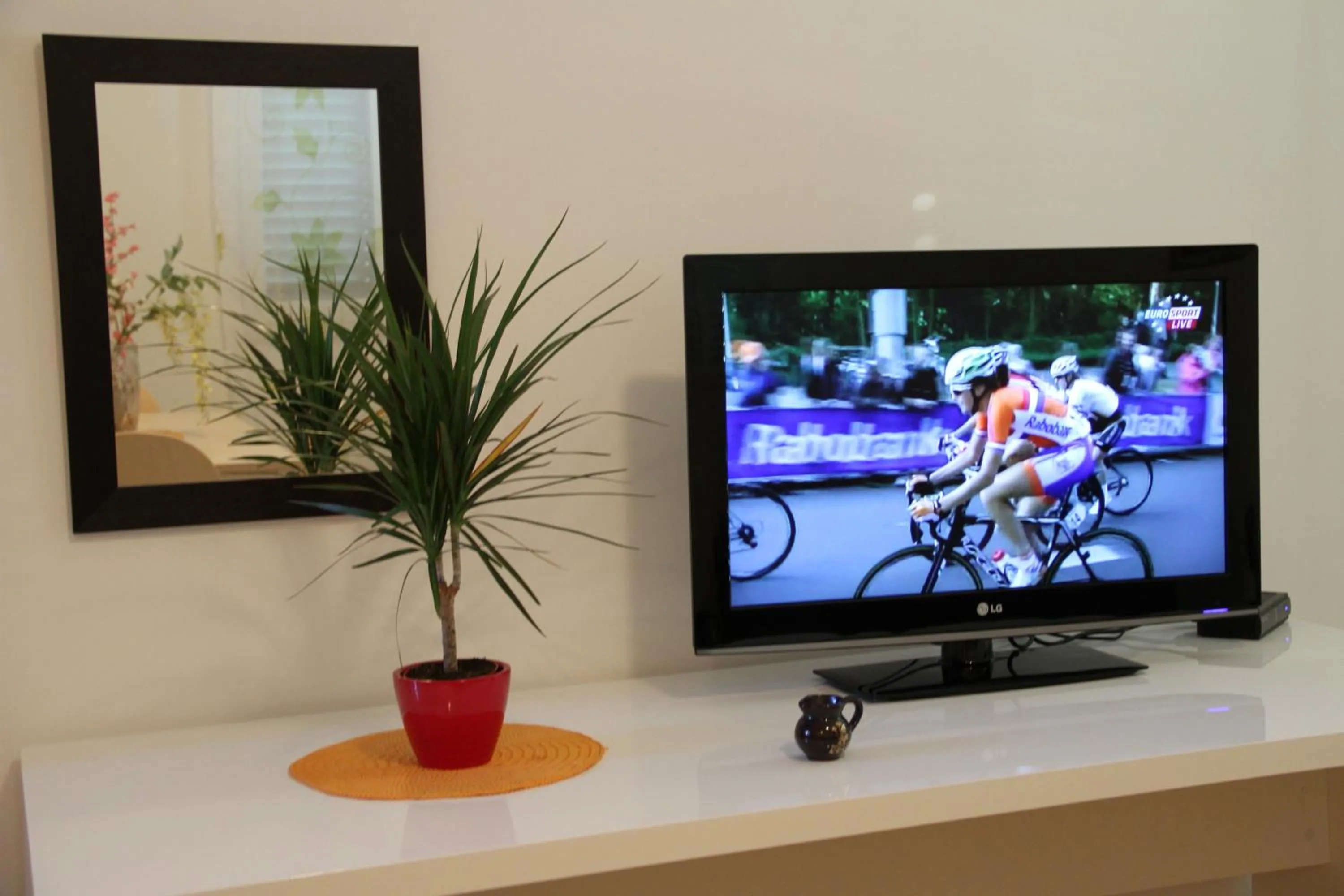 TV and multimedia in Apartments Plazibat