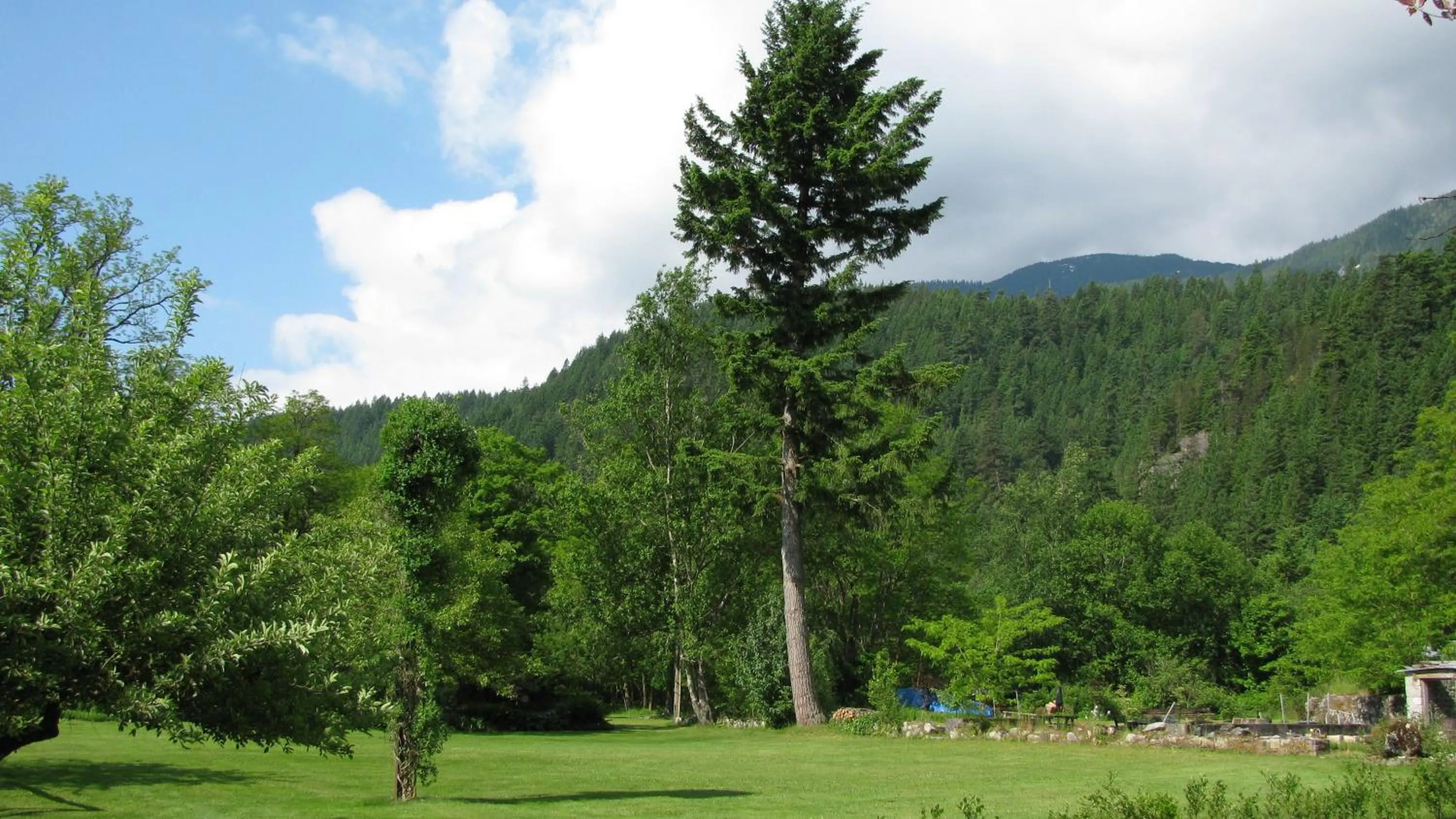 Garden in Sasquatch Crossing Eco Lodge B&B