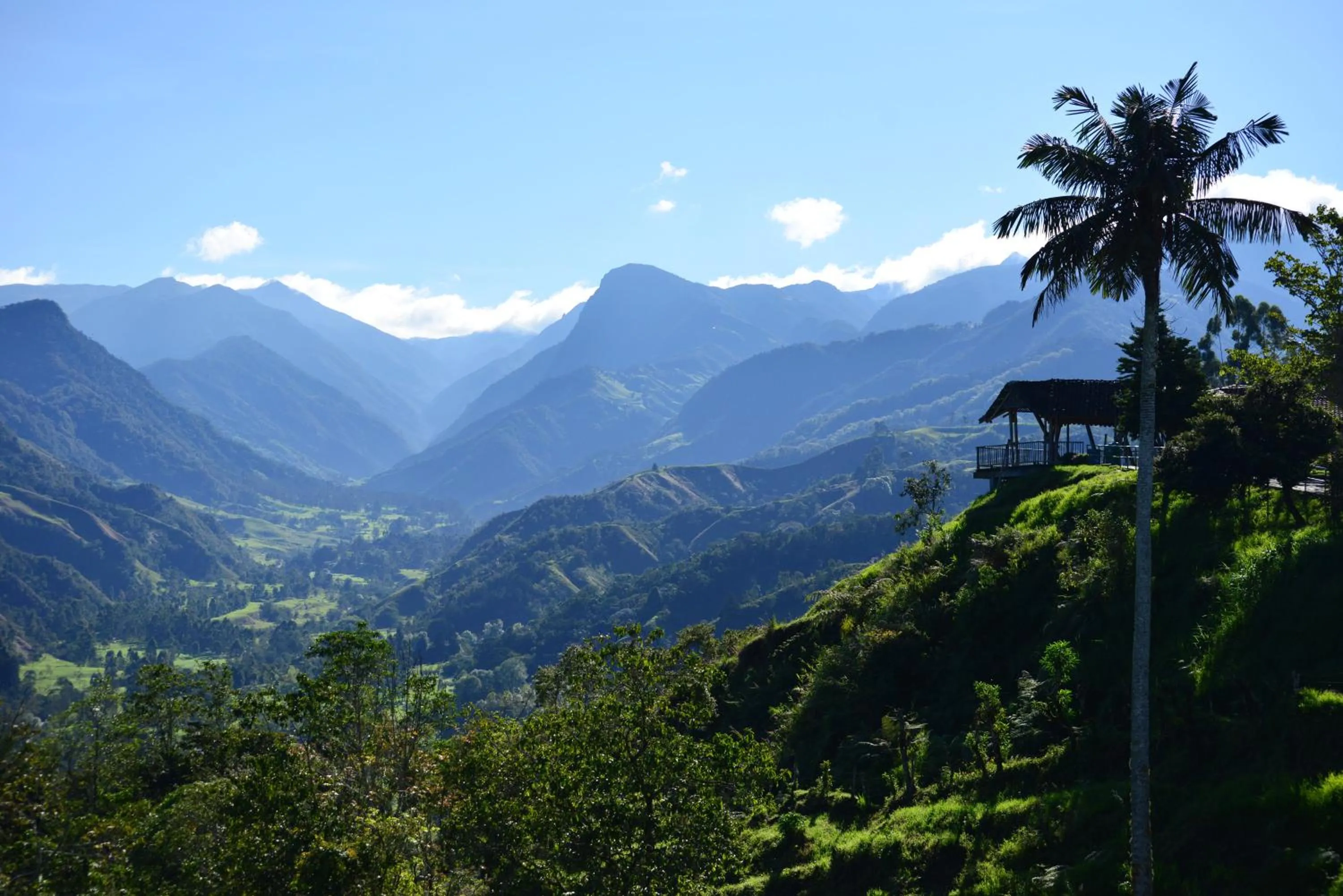 View (from property/room) in Hotel El Mirador del Cocora