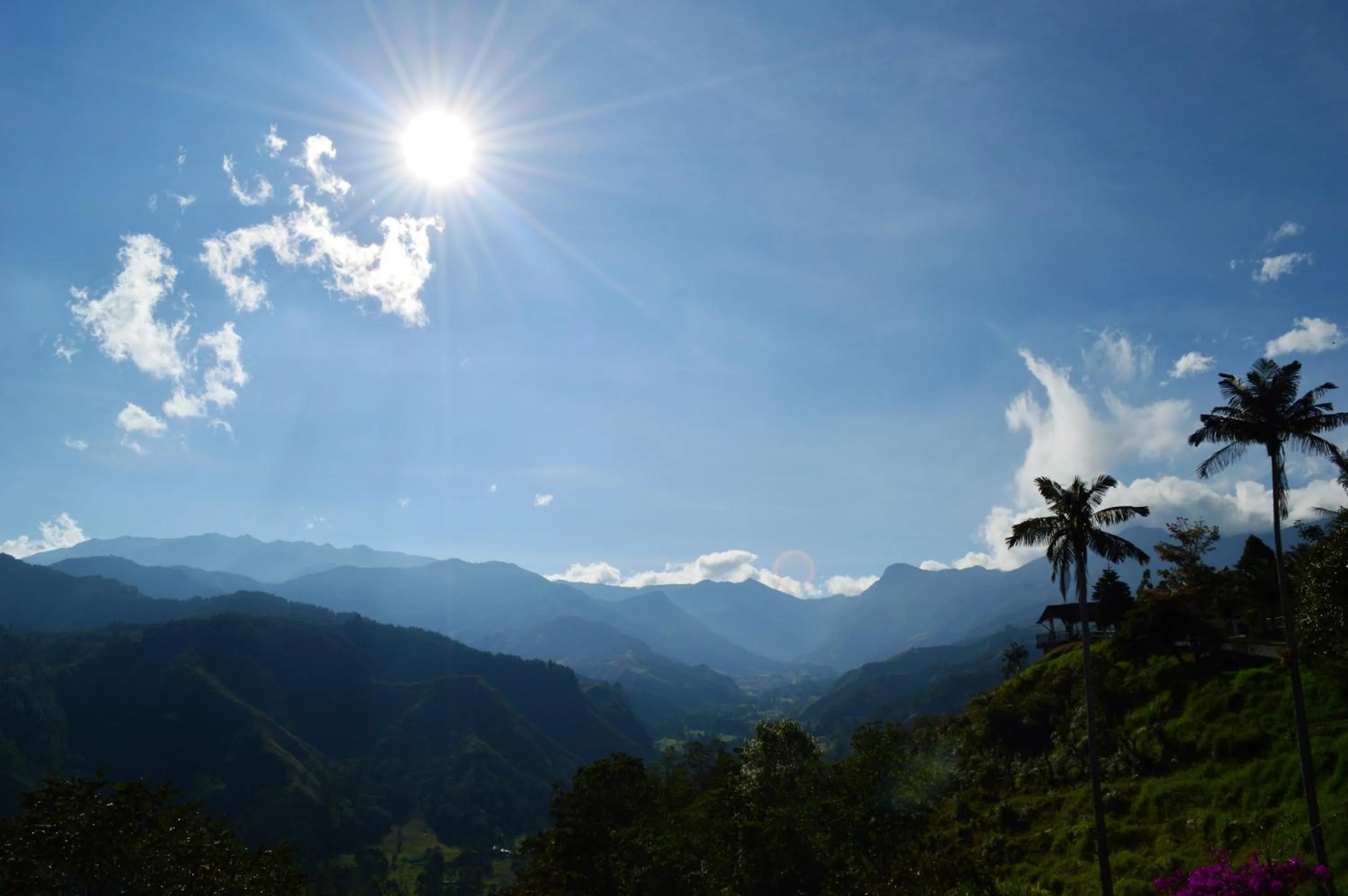 View (from property/room) in Hotel El Mirador del Cocora