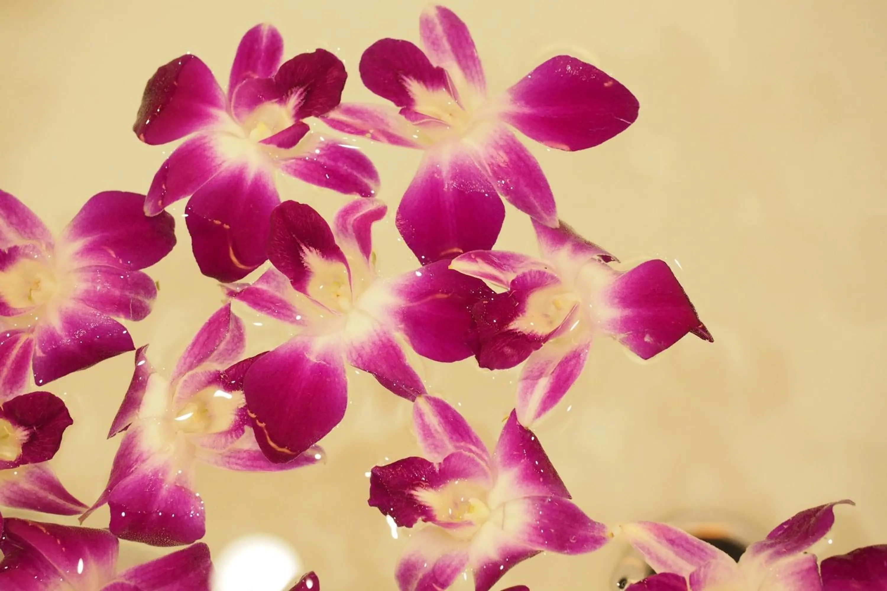 Bathroom in Hotel Balian Resort Higashi Shinjuku