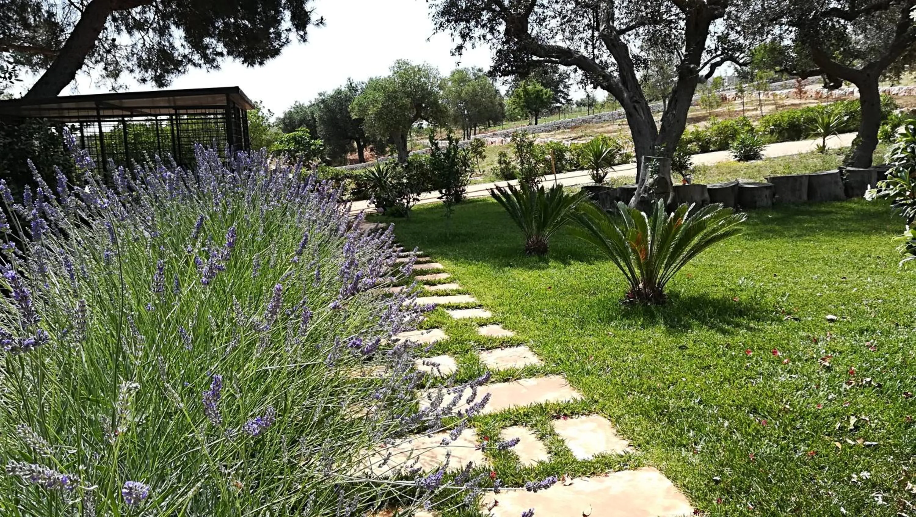 Garden in Eremo del Dottó