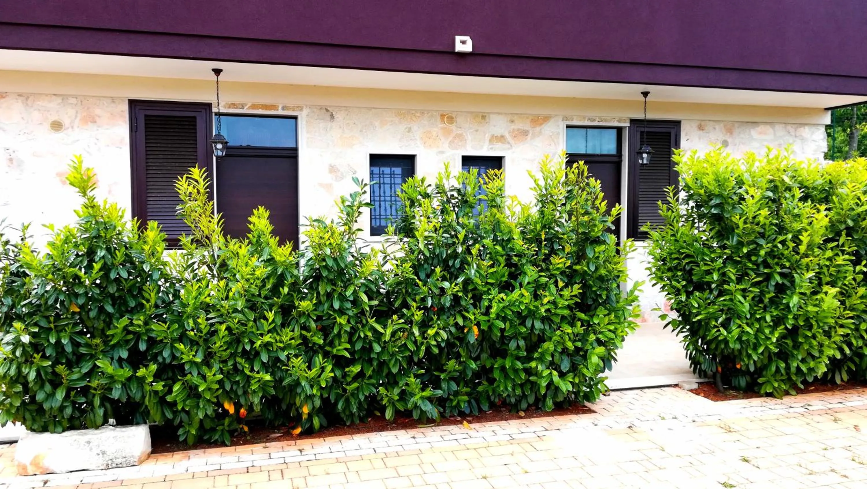 Facade/entrance in Eremo del Dottó