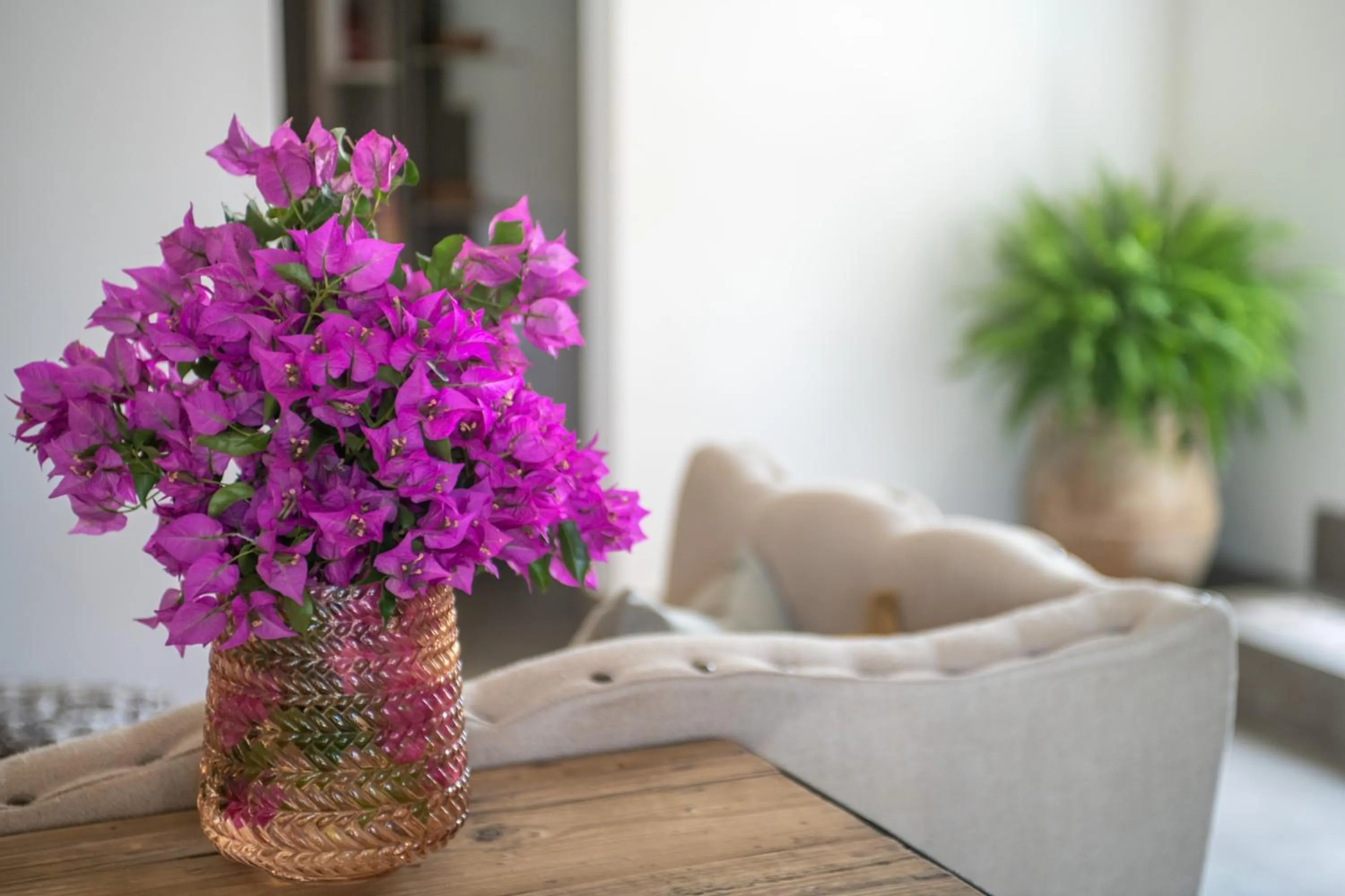Living room in B&B Casa Franco
