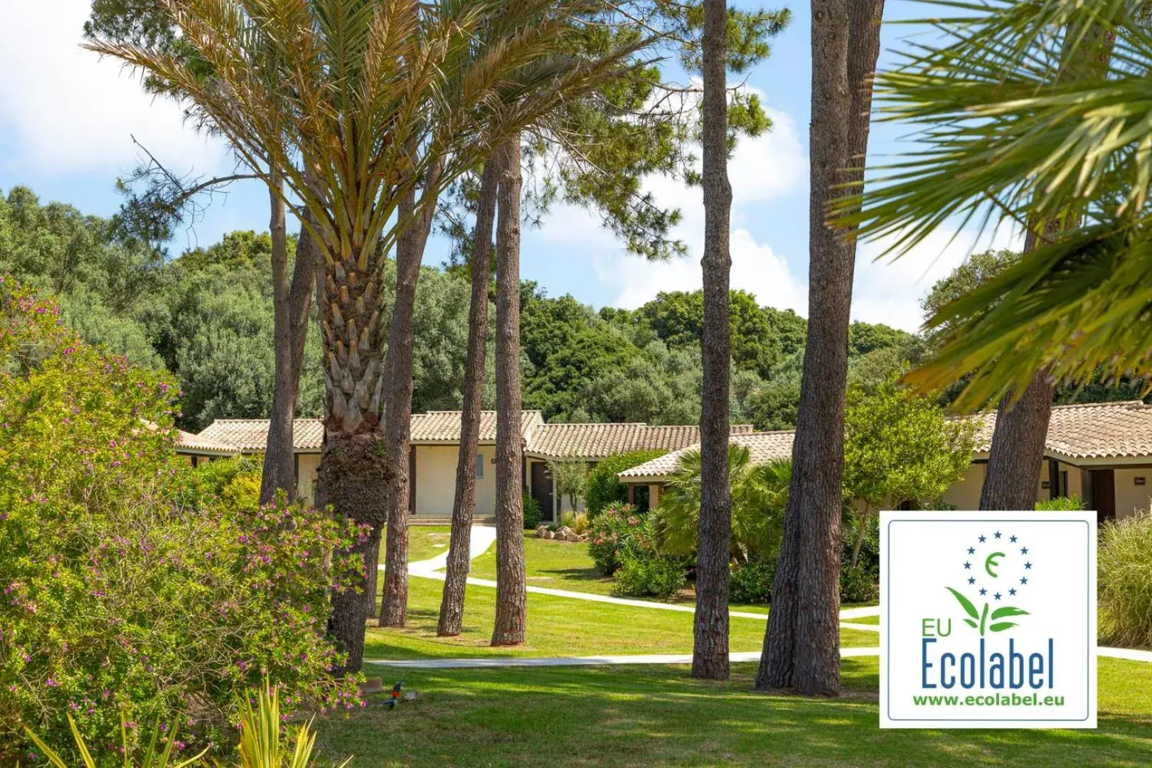 Prea Gianca Prea Gianca