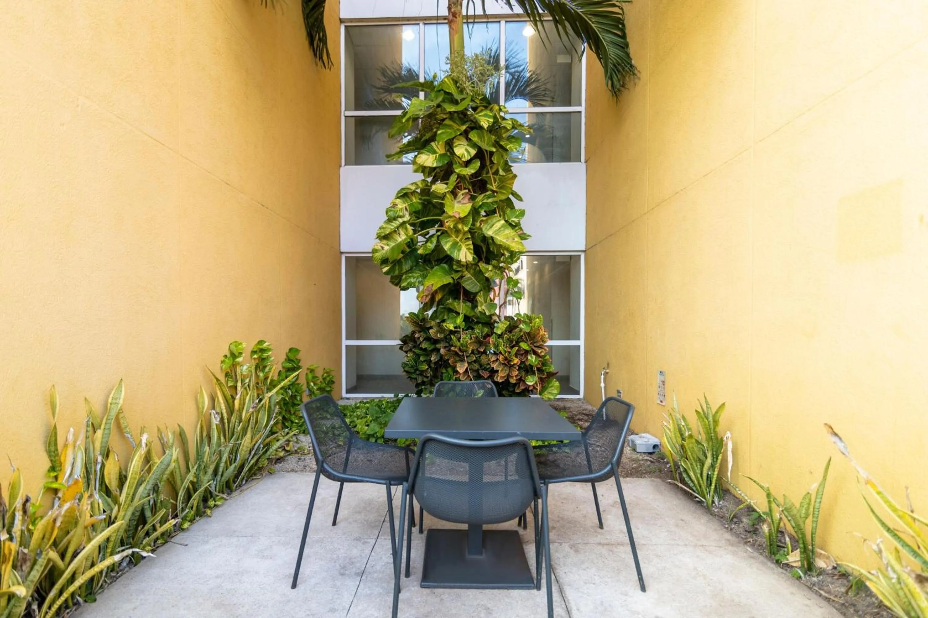 Other in City Express by Marriott Chetumal