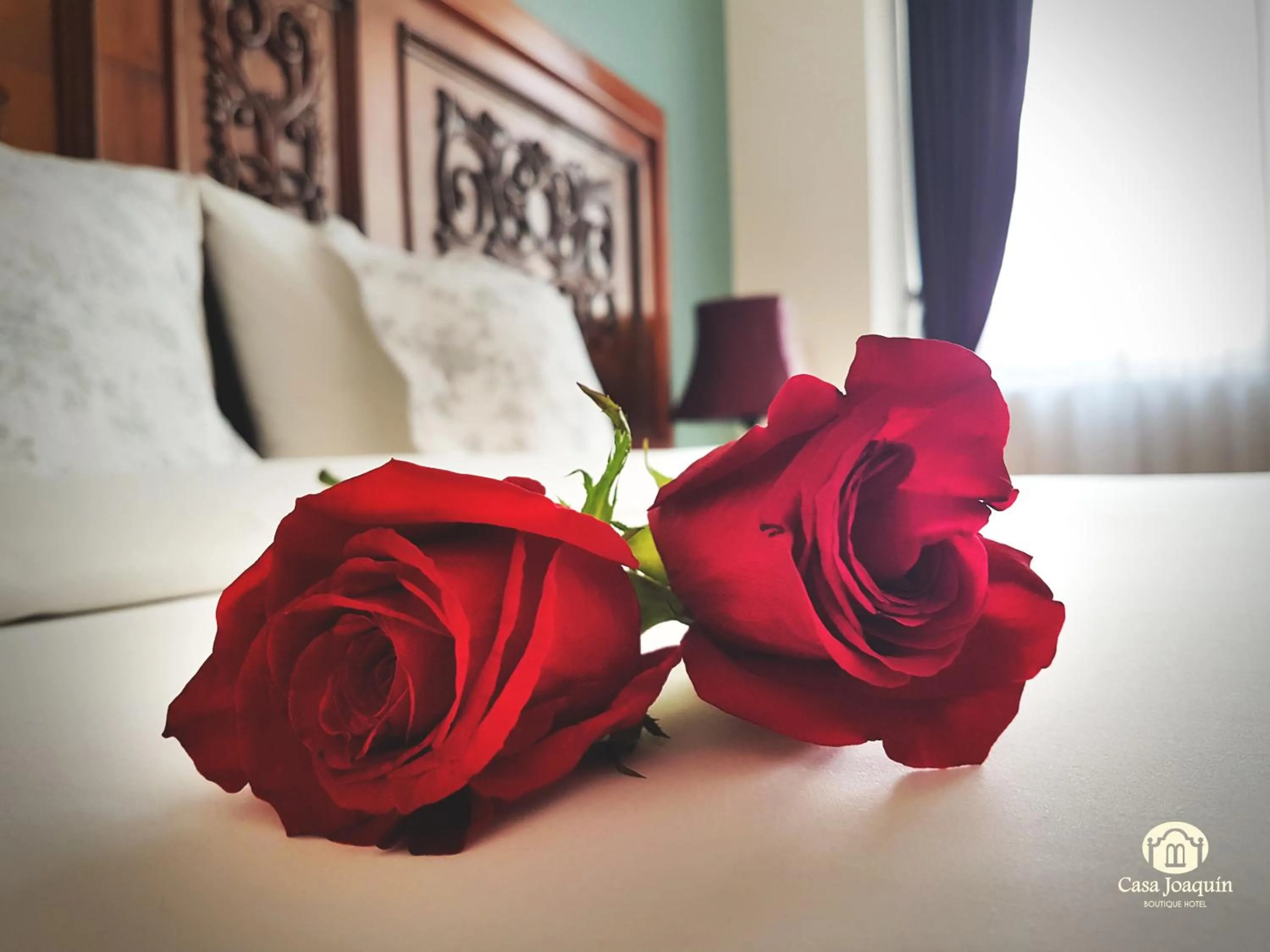 Decorative detail, Bed in Casa Joaquin Boutique Hotel