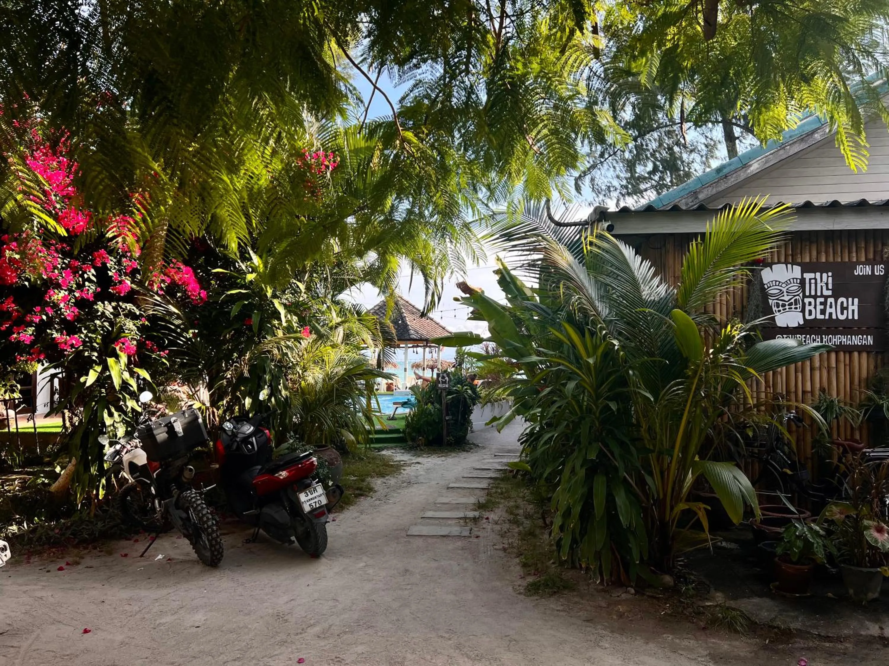 Tiki Beach Koh Phangan Beach Restaurant Bar and Coworking