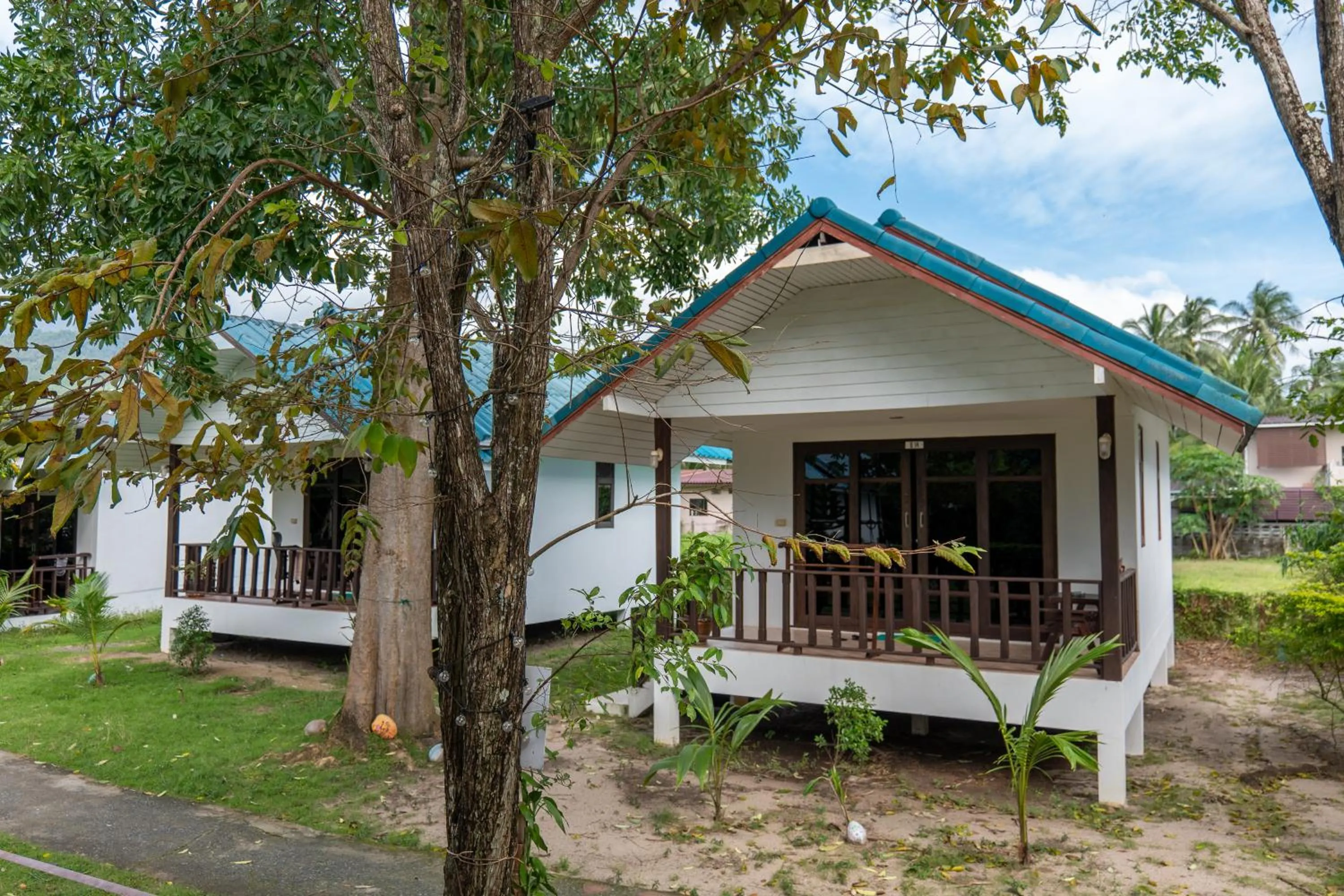 Tiki Beach Koh Phangan Beach Restaurant Bar and Coworking