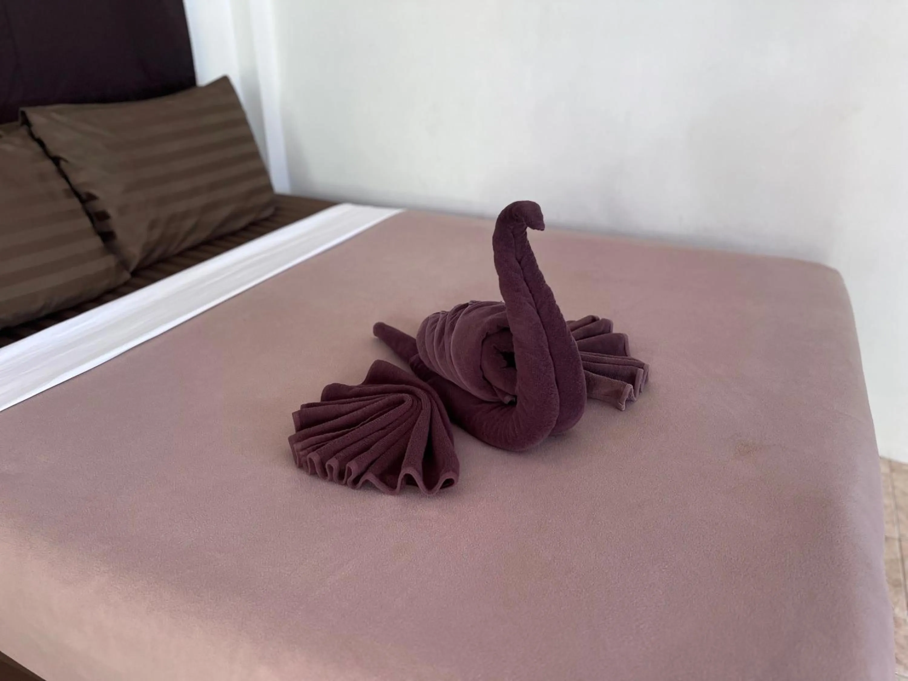 Tiki Beach Koh Phangan Beach Restaurant Bar and Coworking