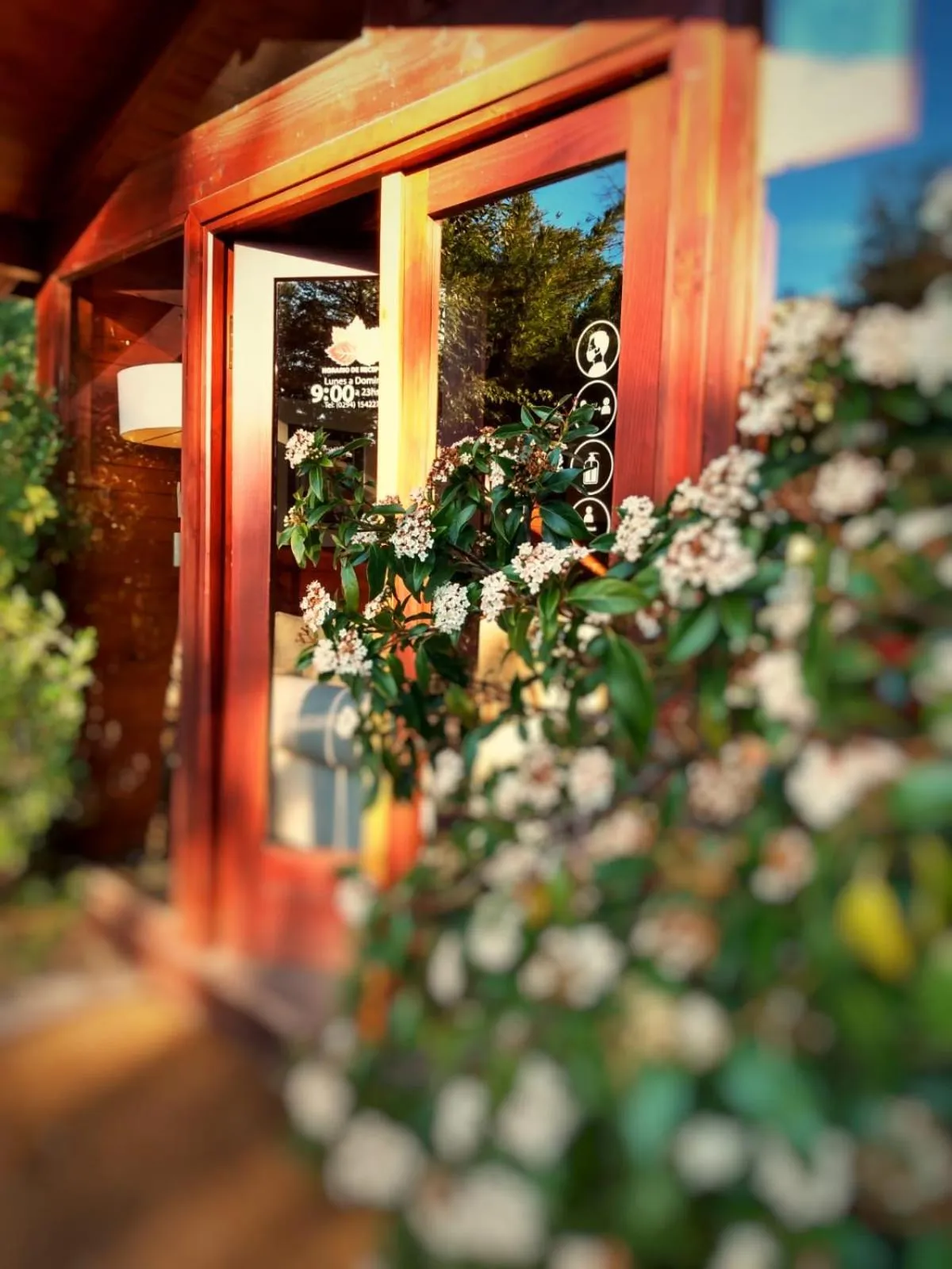 Arbolar, Casas de Montaña- Piscina climatizada