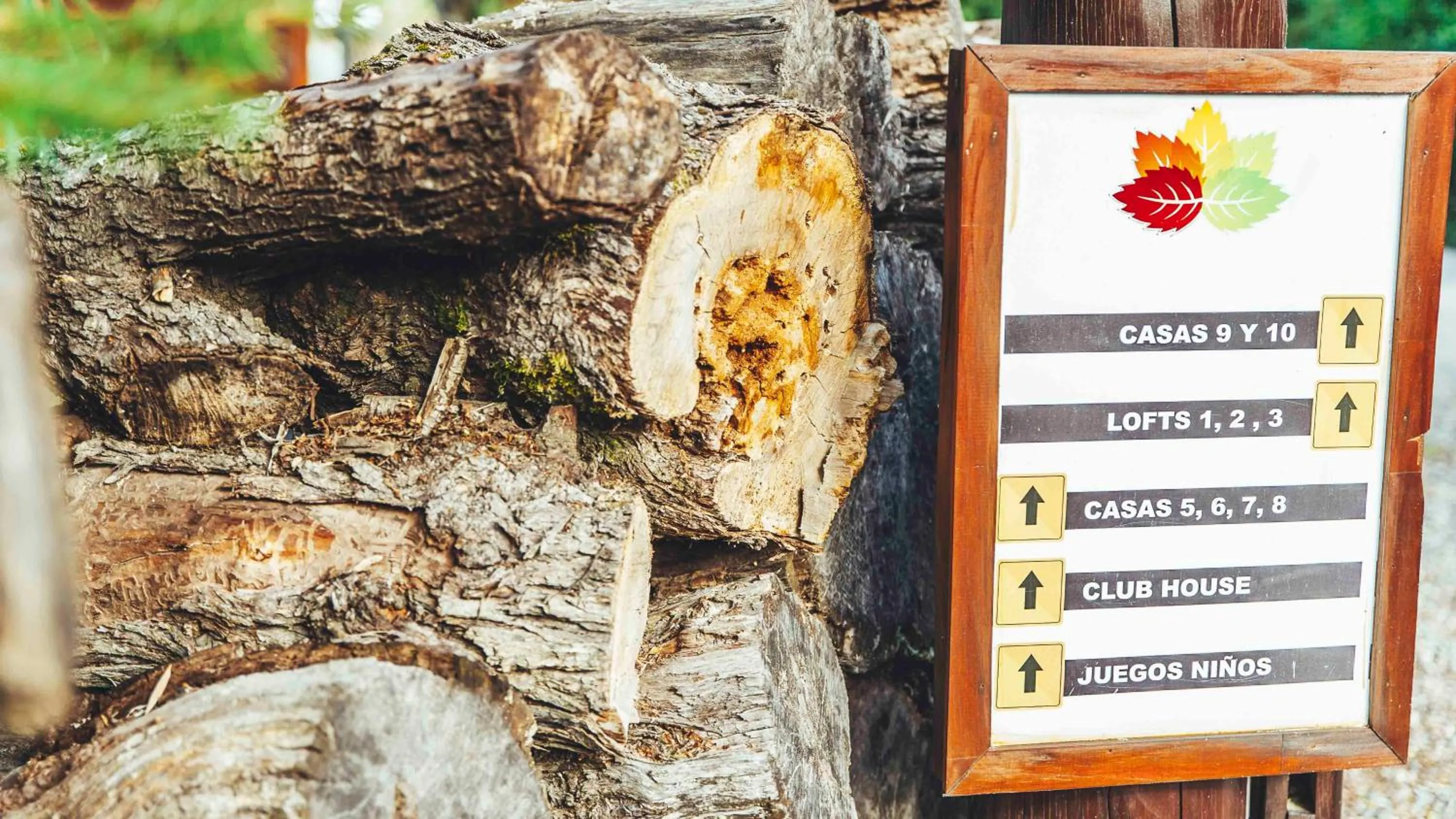 Arbolar, Casas de Montaña- Piscina climatizada