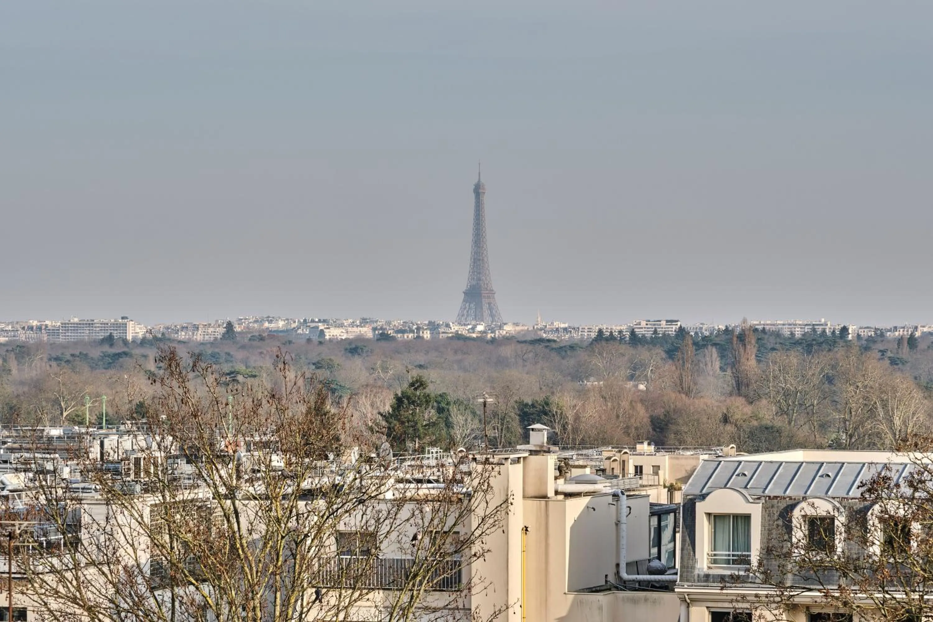 View (from property/room) in Hotel Atrium by Happyculture
