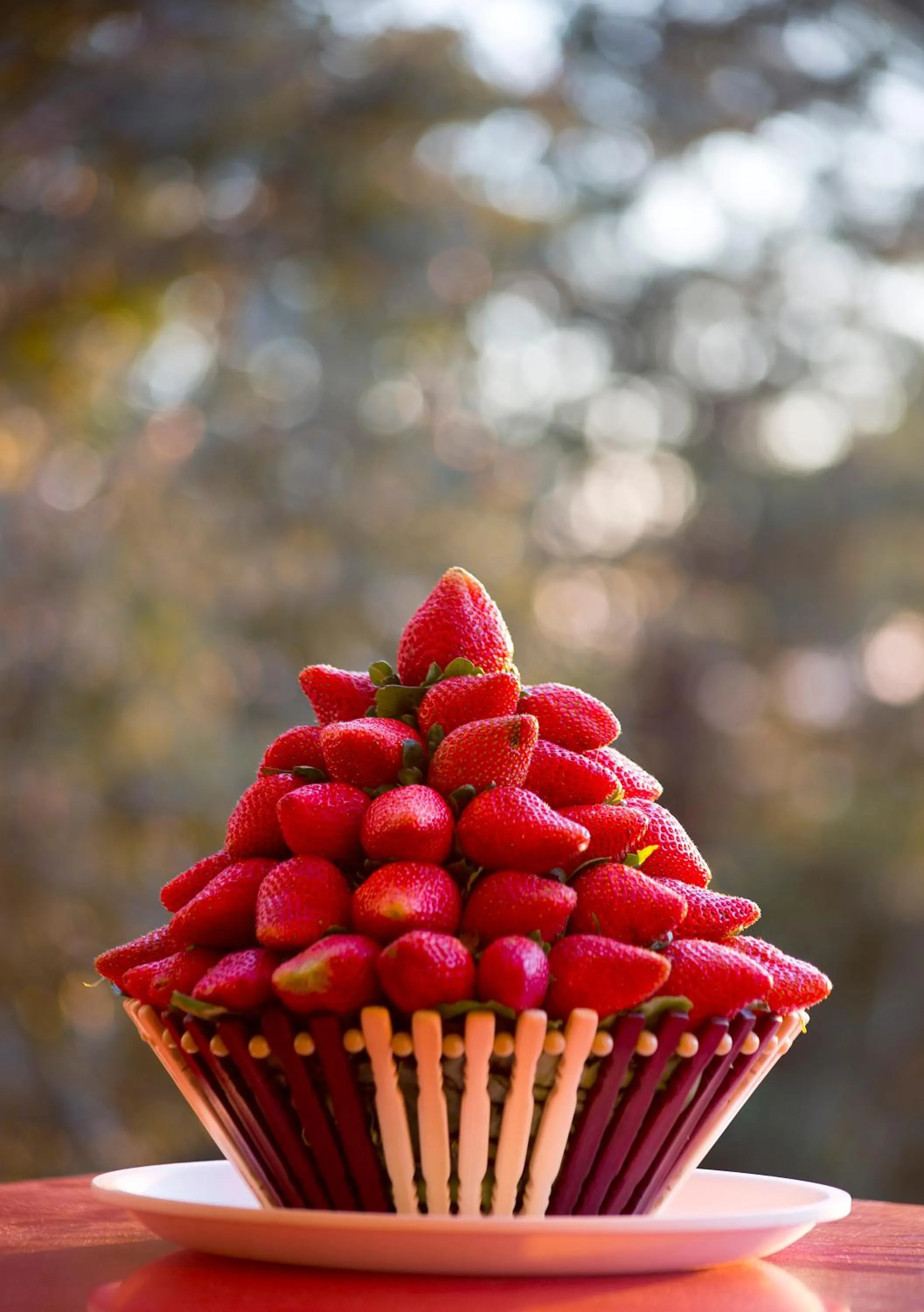 Other in Shivsagar Resort & Spa