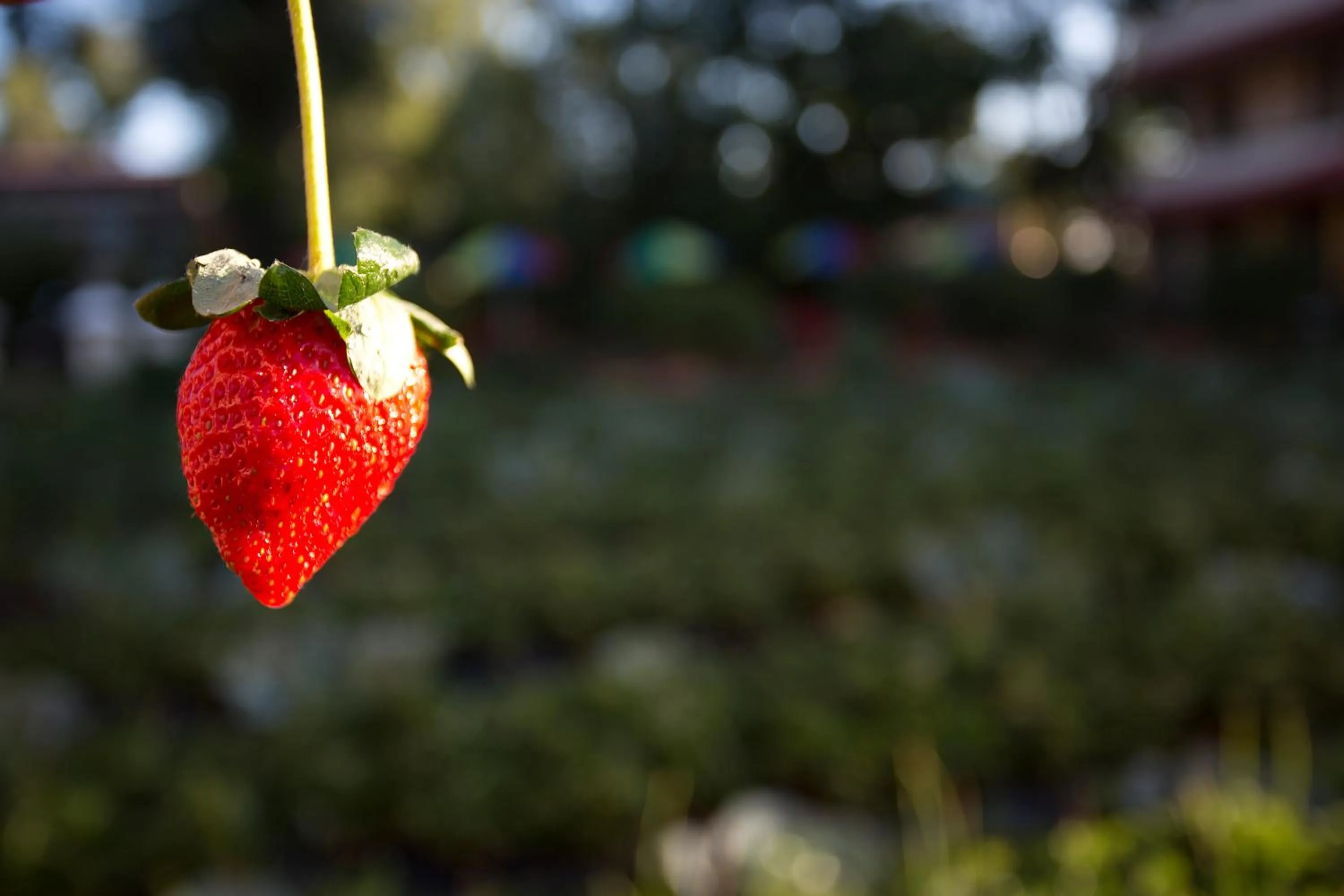 Shivsagar Resort & Spa