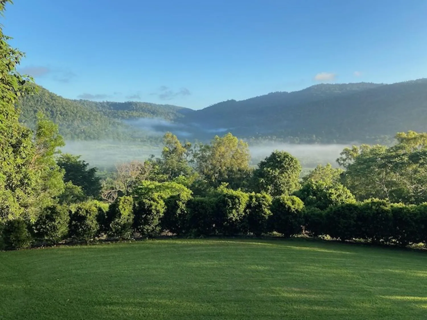 View (from property/room) in Seclude Rainforest Retreat
