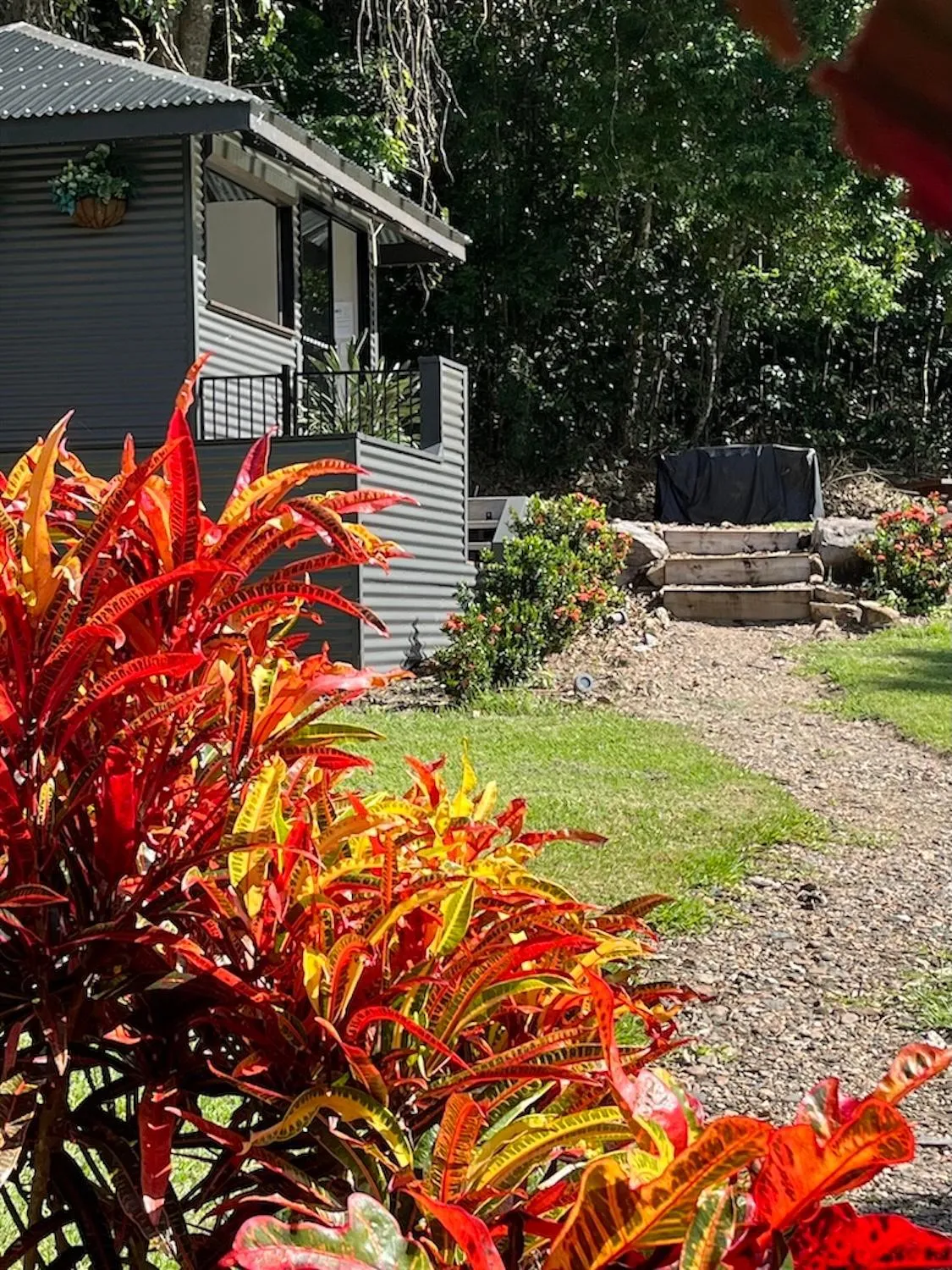 Garden in Seclude Rainforest Retreat
