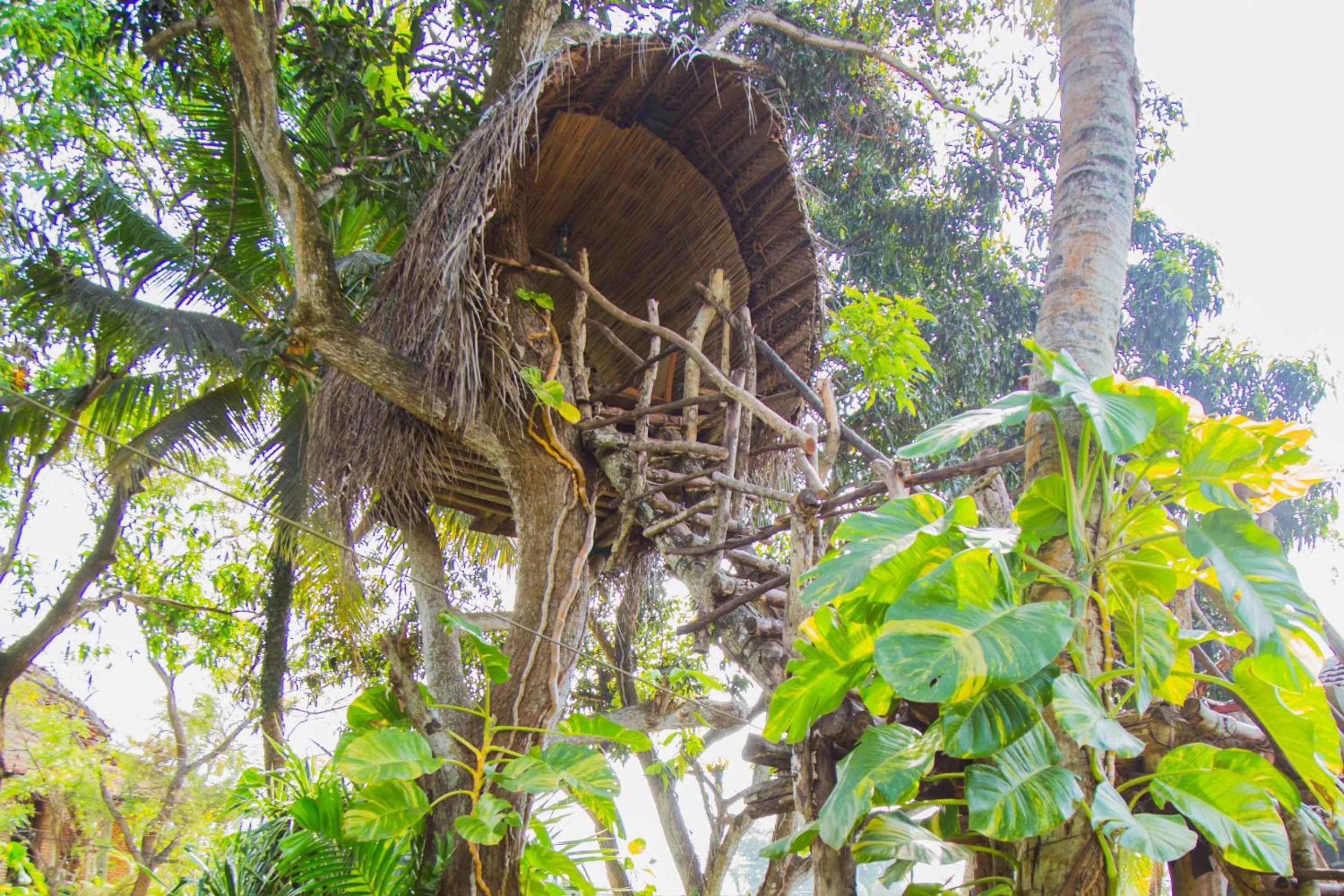 Bird's eye view in Villa Shade