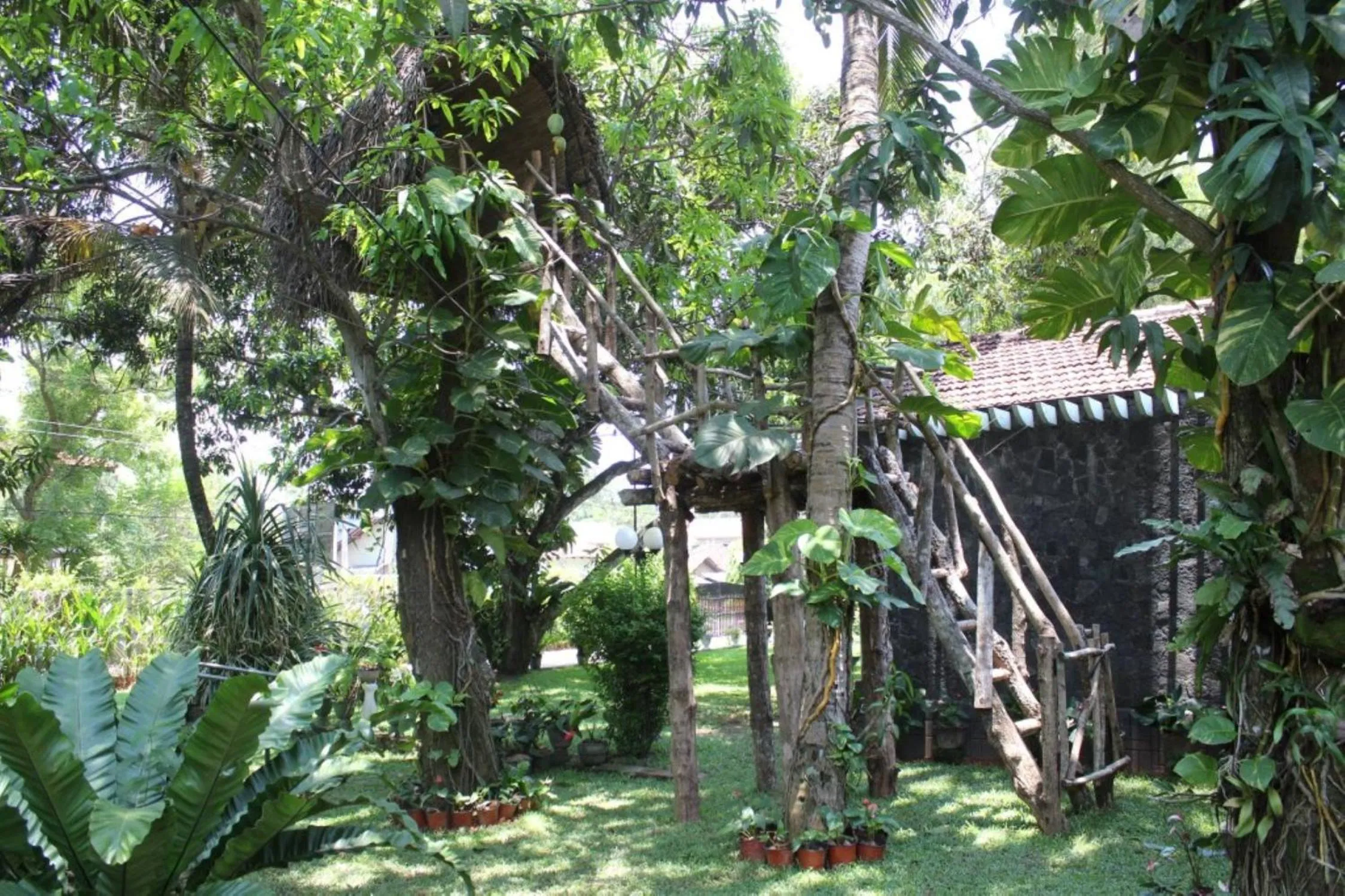 Natural landscape in Villa Shade