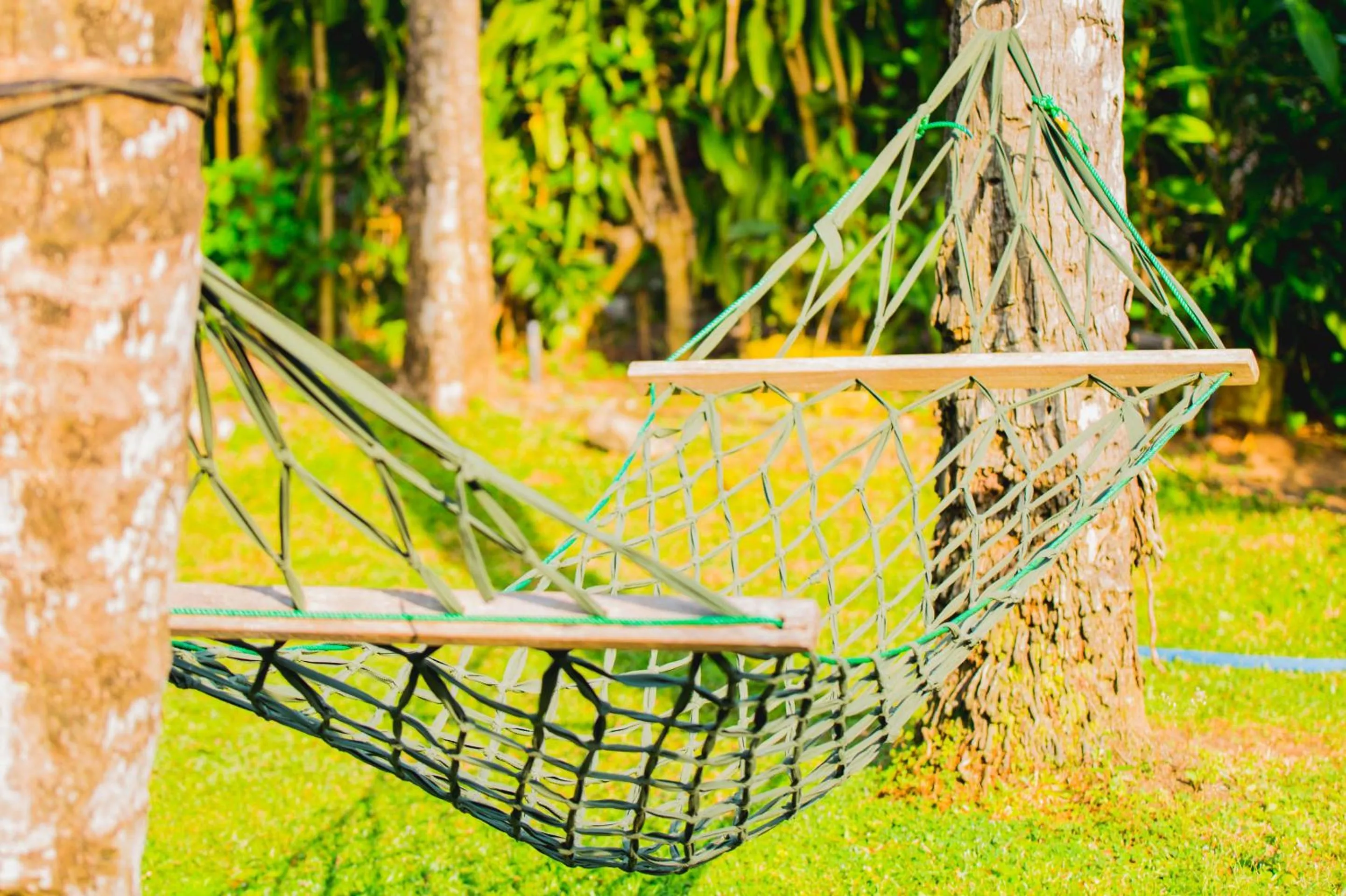 Activities in Villa Shade