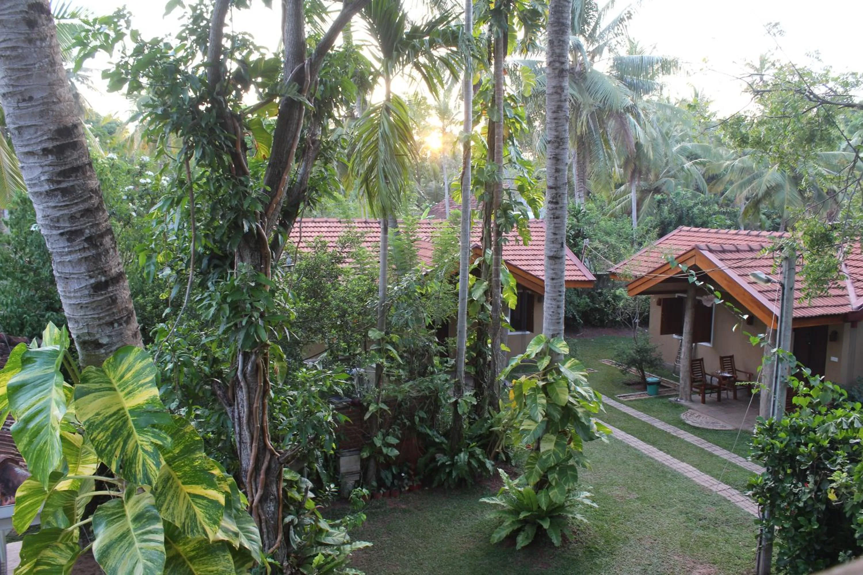 Garden view in Villa Shade