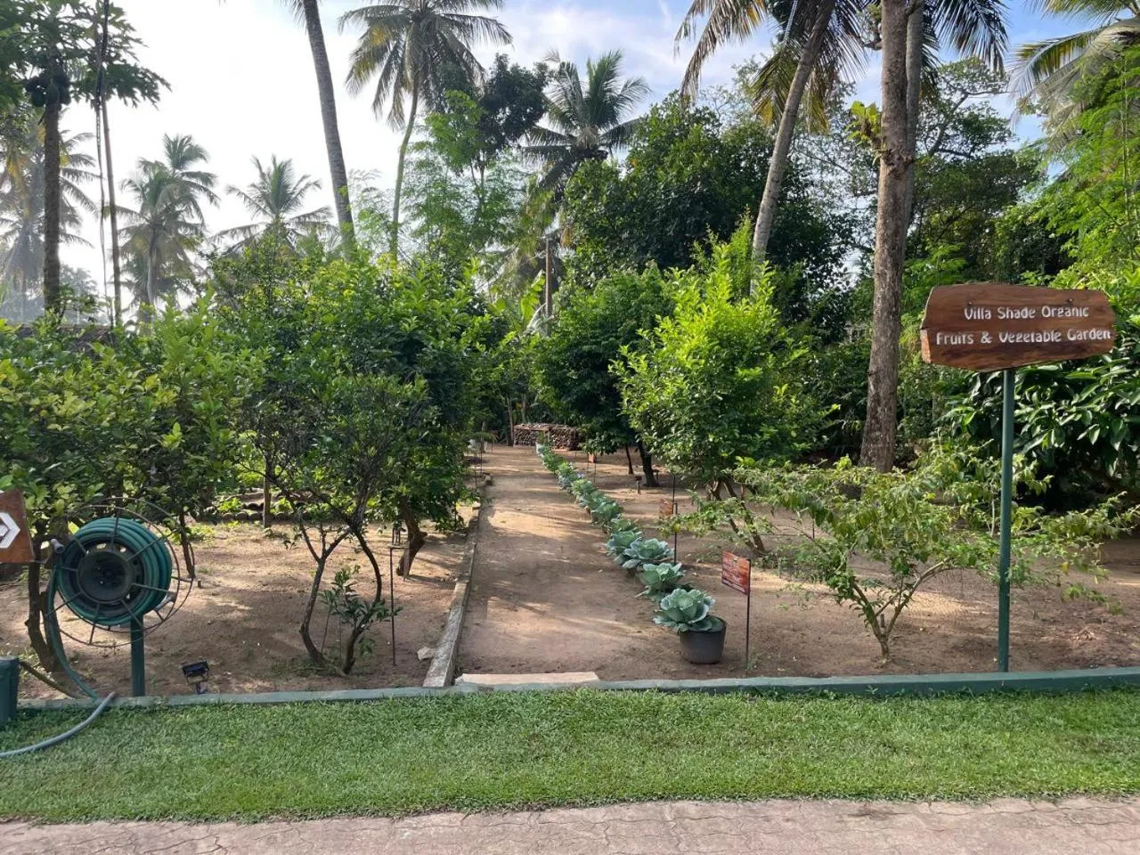 Natural landscape in Villa Shade