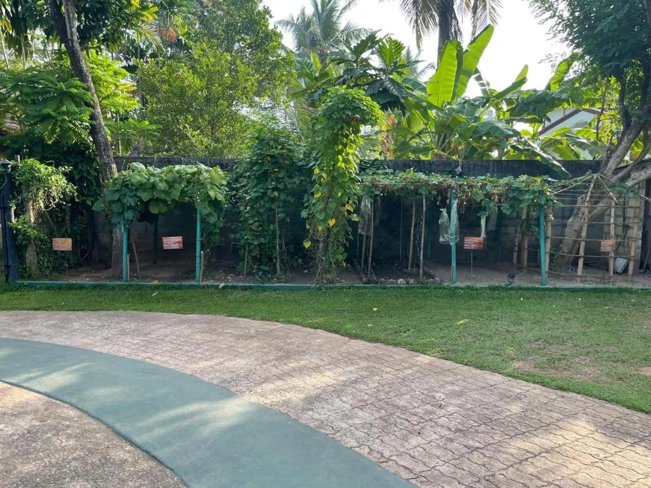 Natural landscape in Villa Shade