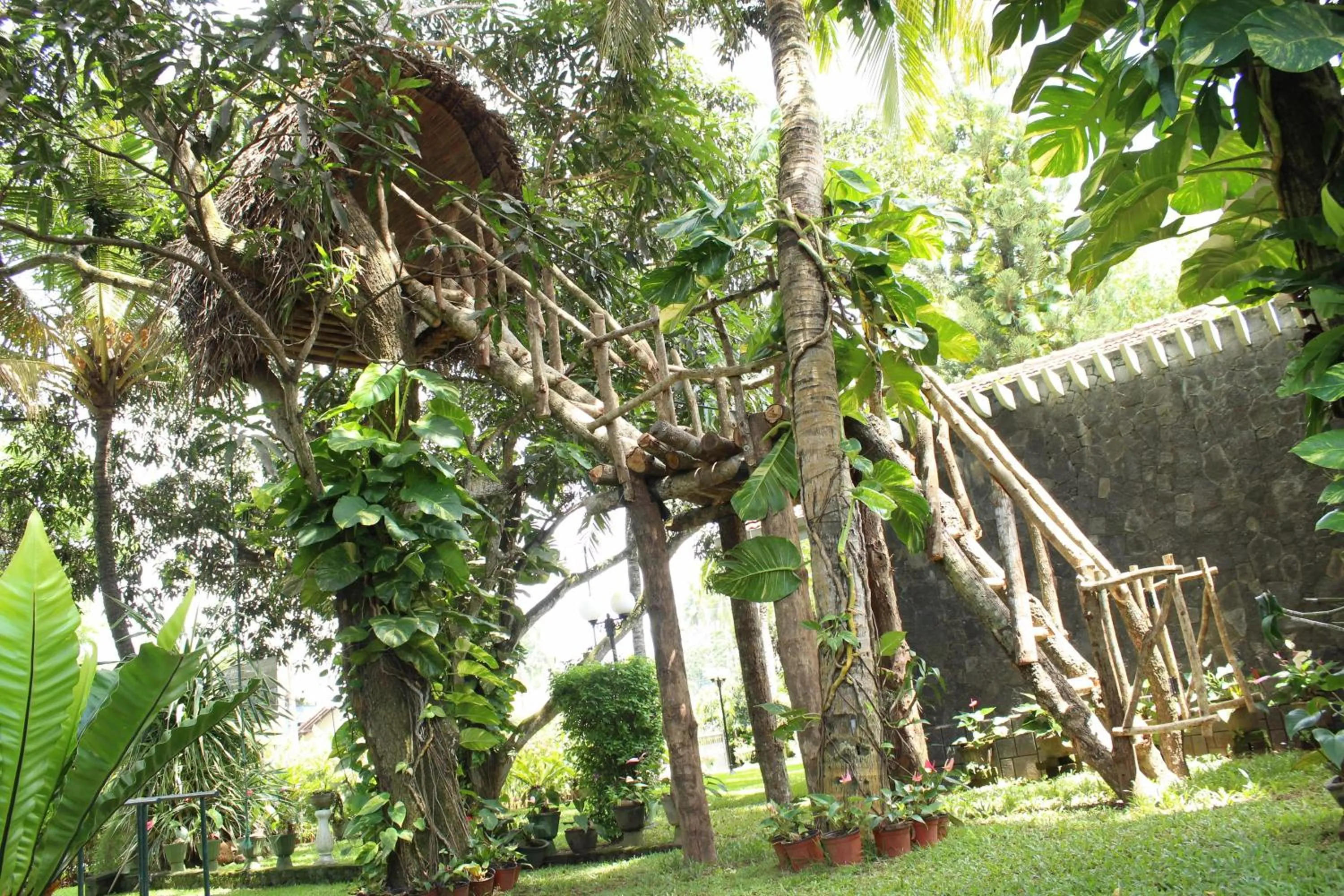 Garden in Villa Shade