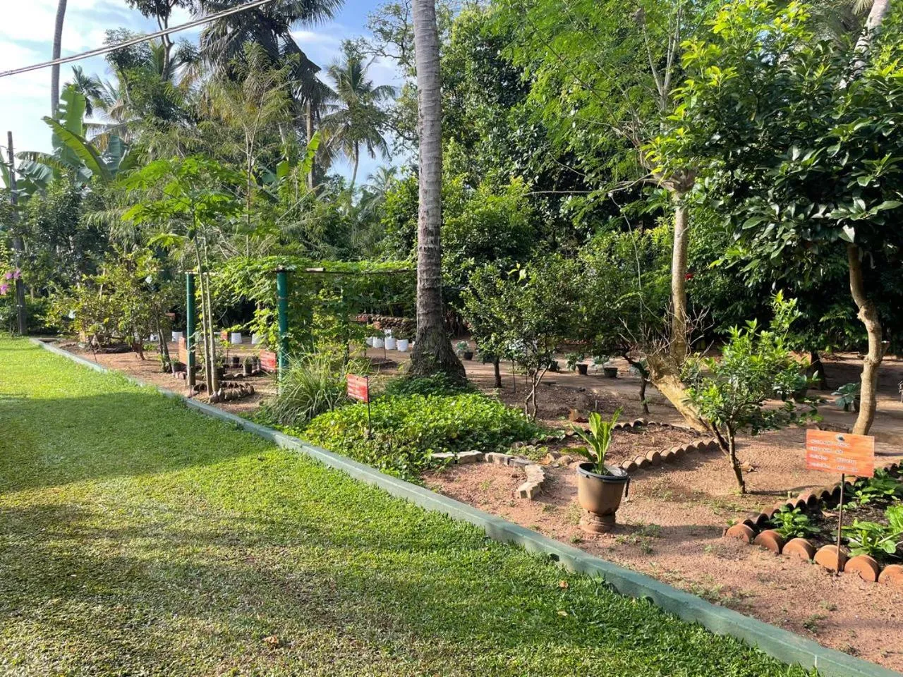 Natural landscape in Villa Shade