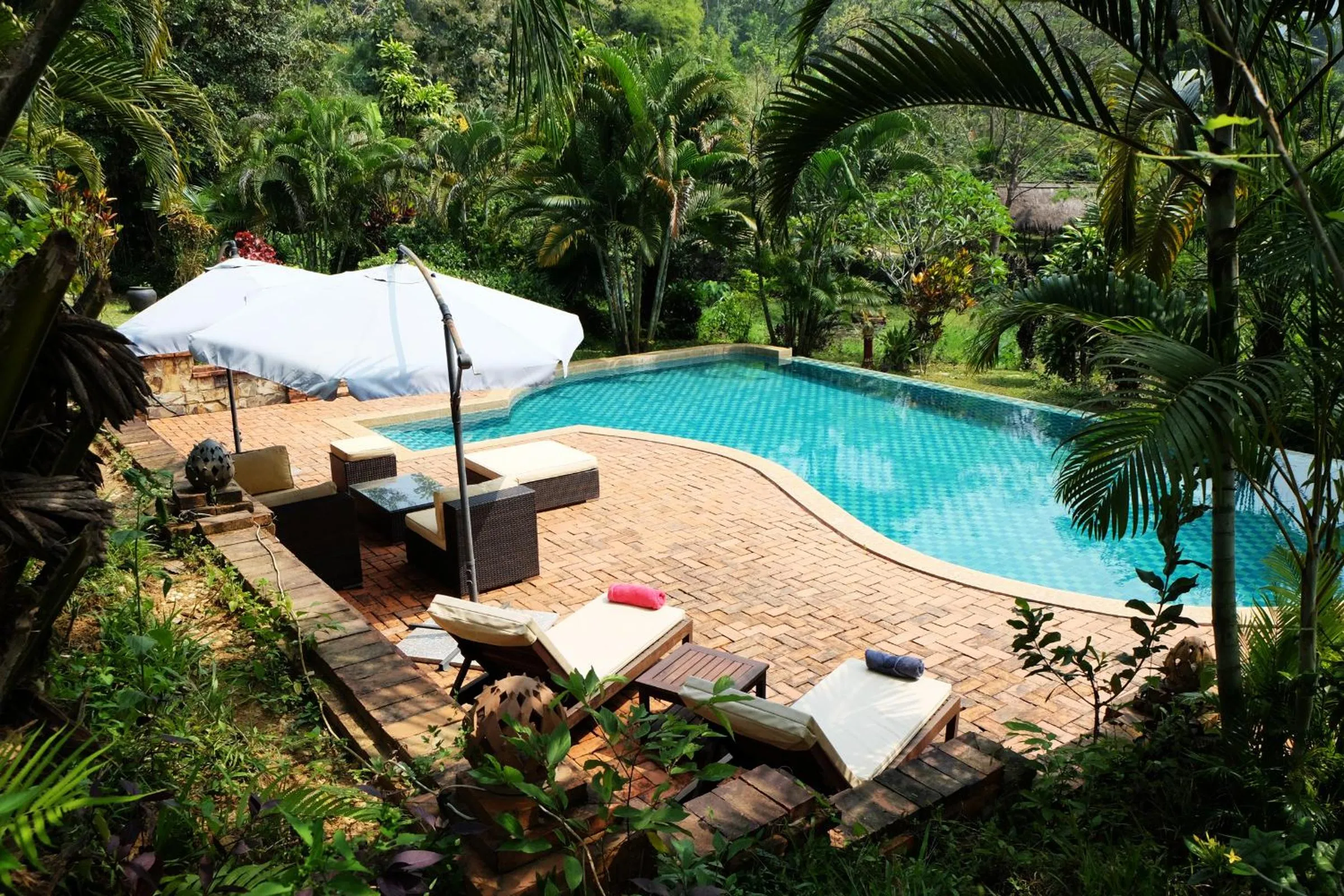 Garden in Hillside - Nature Lifestyle Lodge