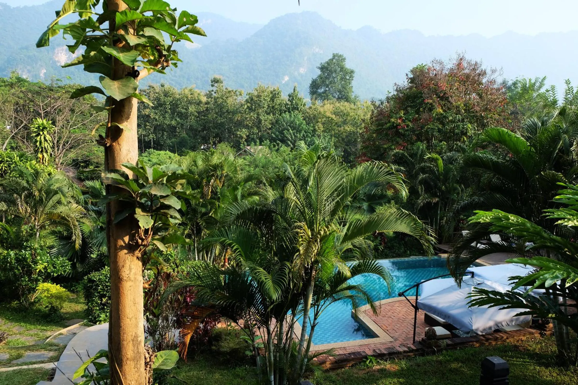 Garden view in Hillside - Nature Lifestyle Lodge
