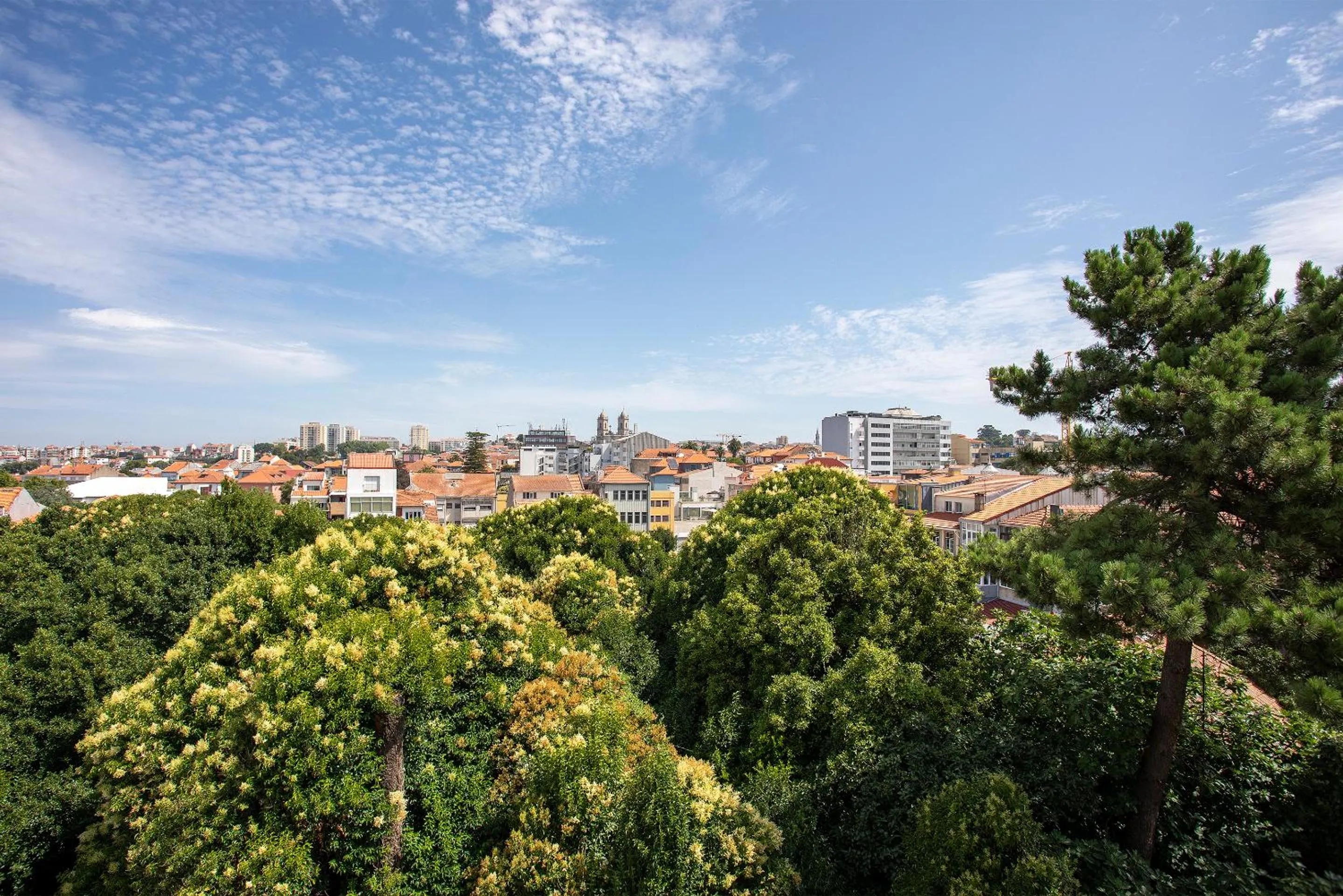 City view in Palace Museum & National Monument - Espaço Palmeiras