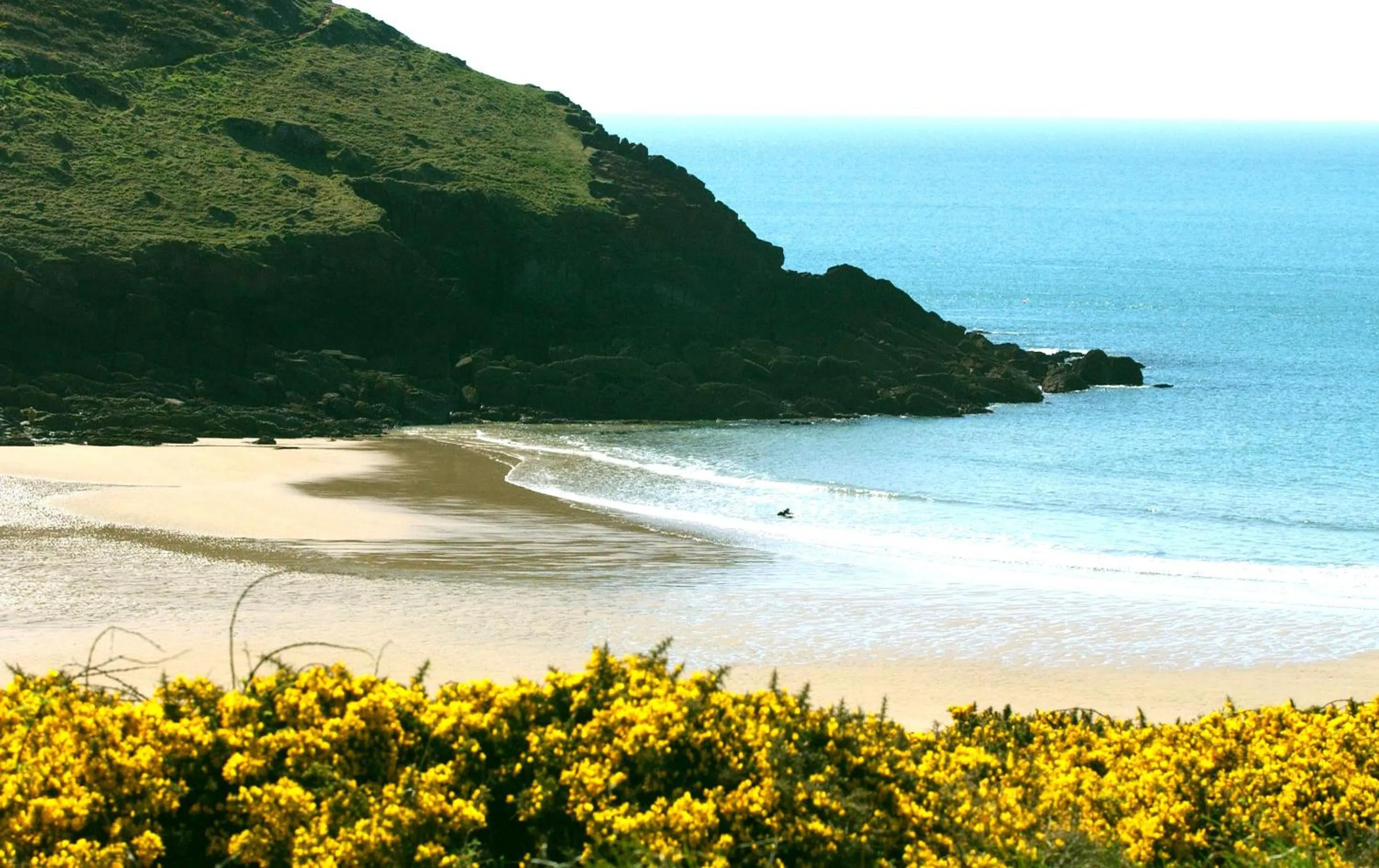 Activities in Castlemead Country House By The Sea