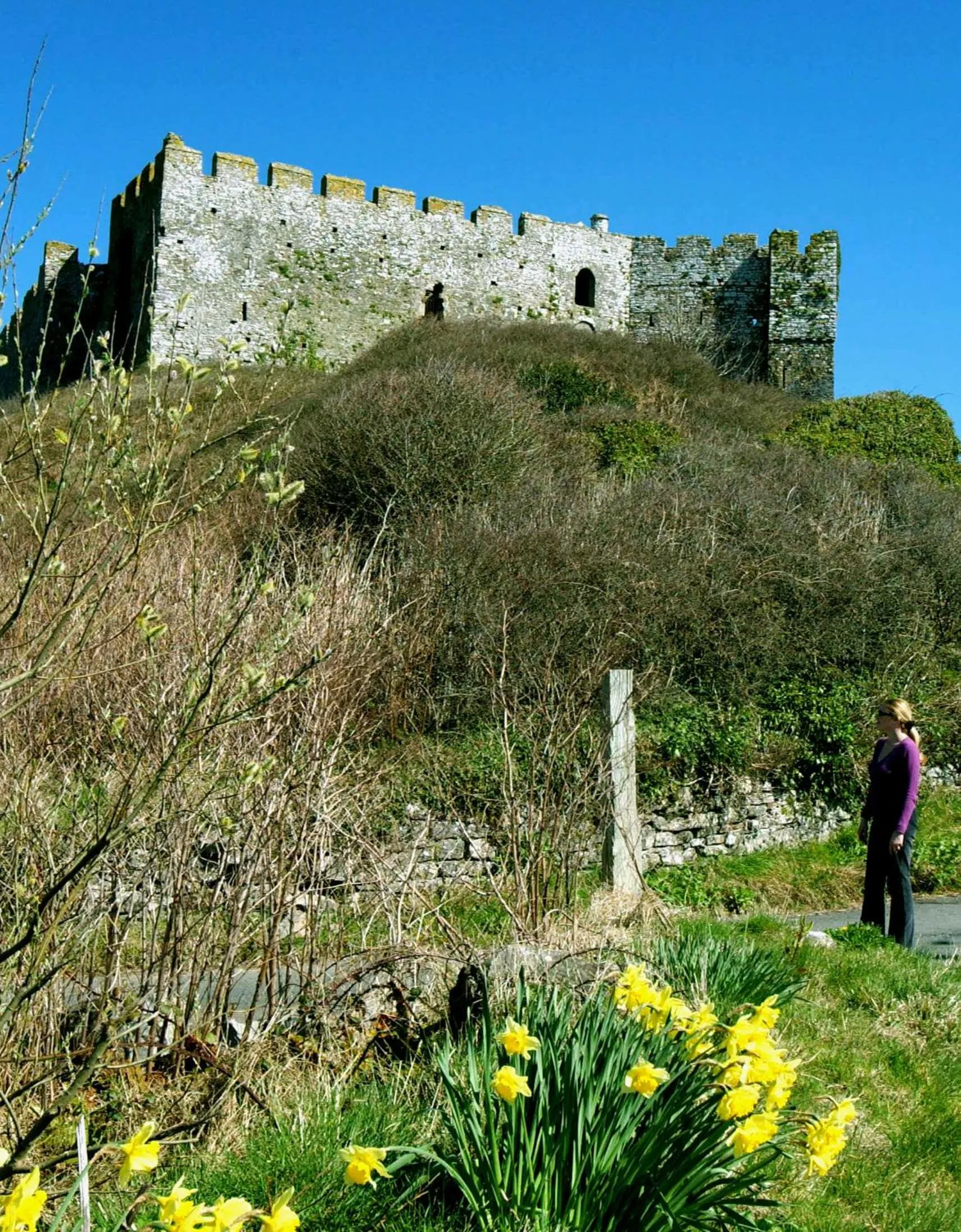 Activities in Castlemead Country House By The Sea
