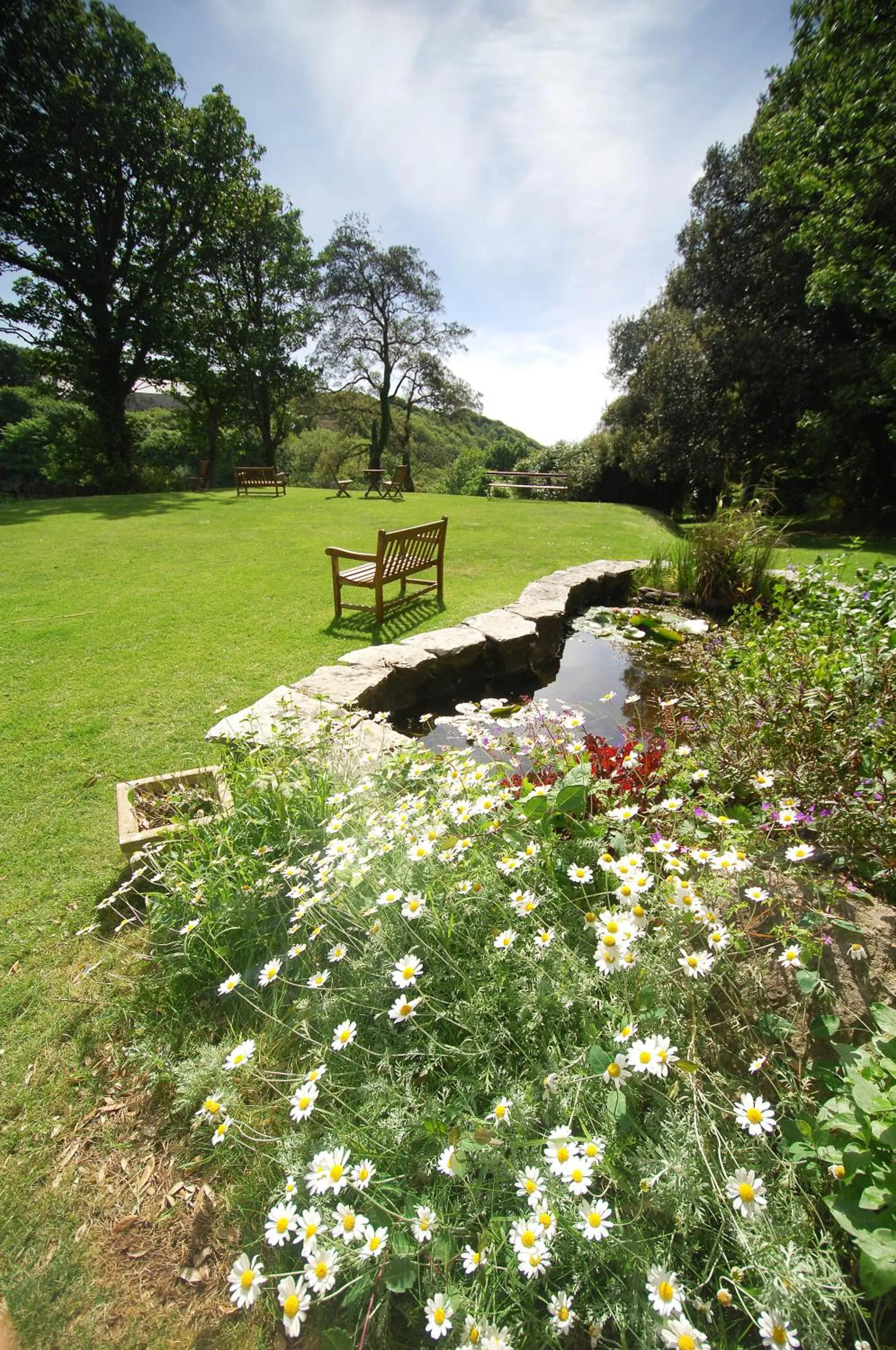 Garden in Castlemead Country House By The Sea