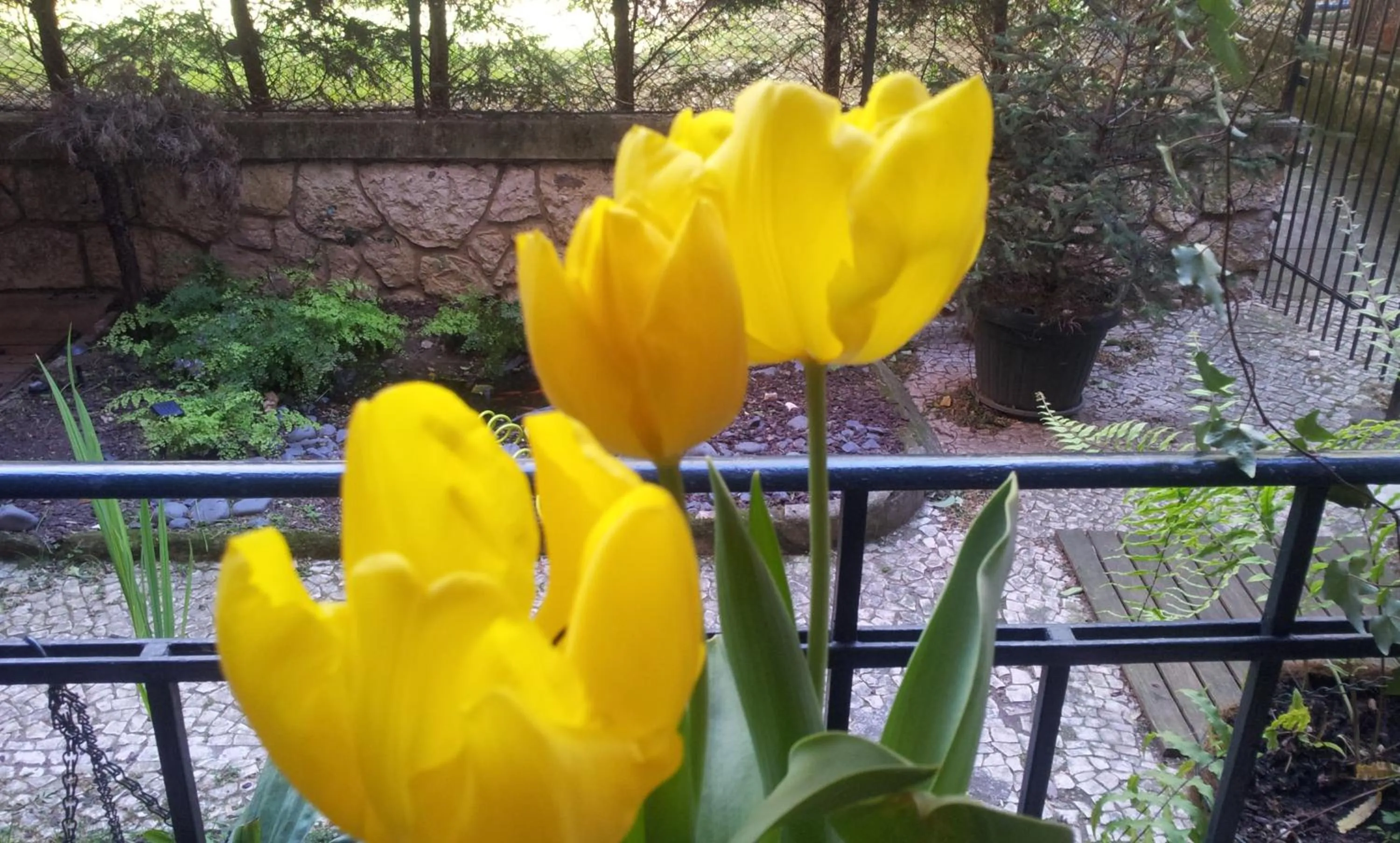 Balcony/Terrace in Whatever Art B&B