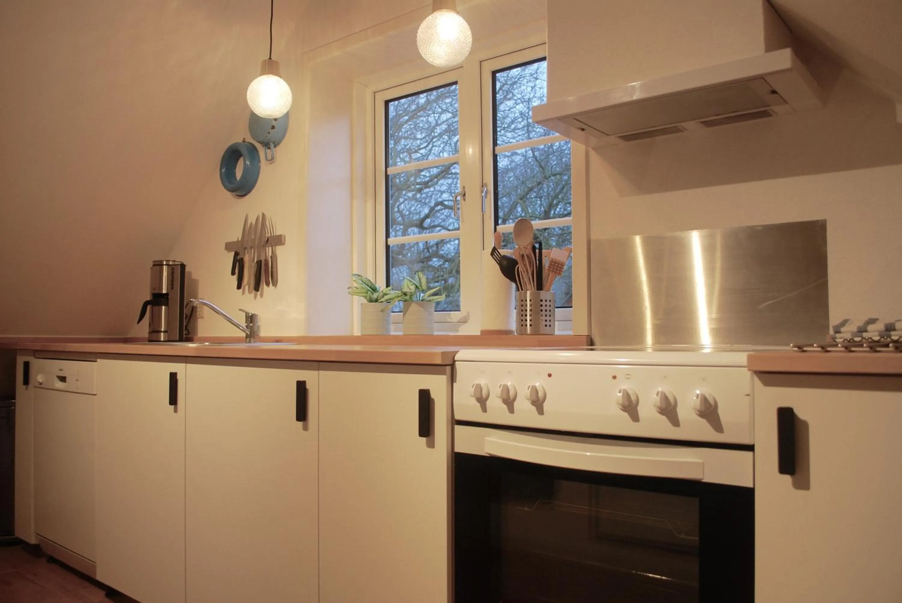 Kitchen or kitchenette in Adventure Park Apartments