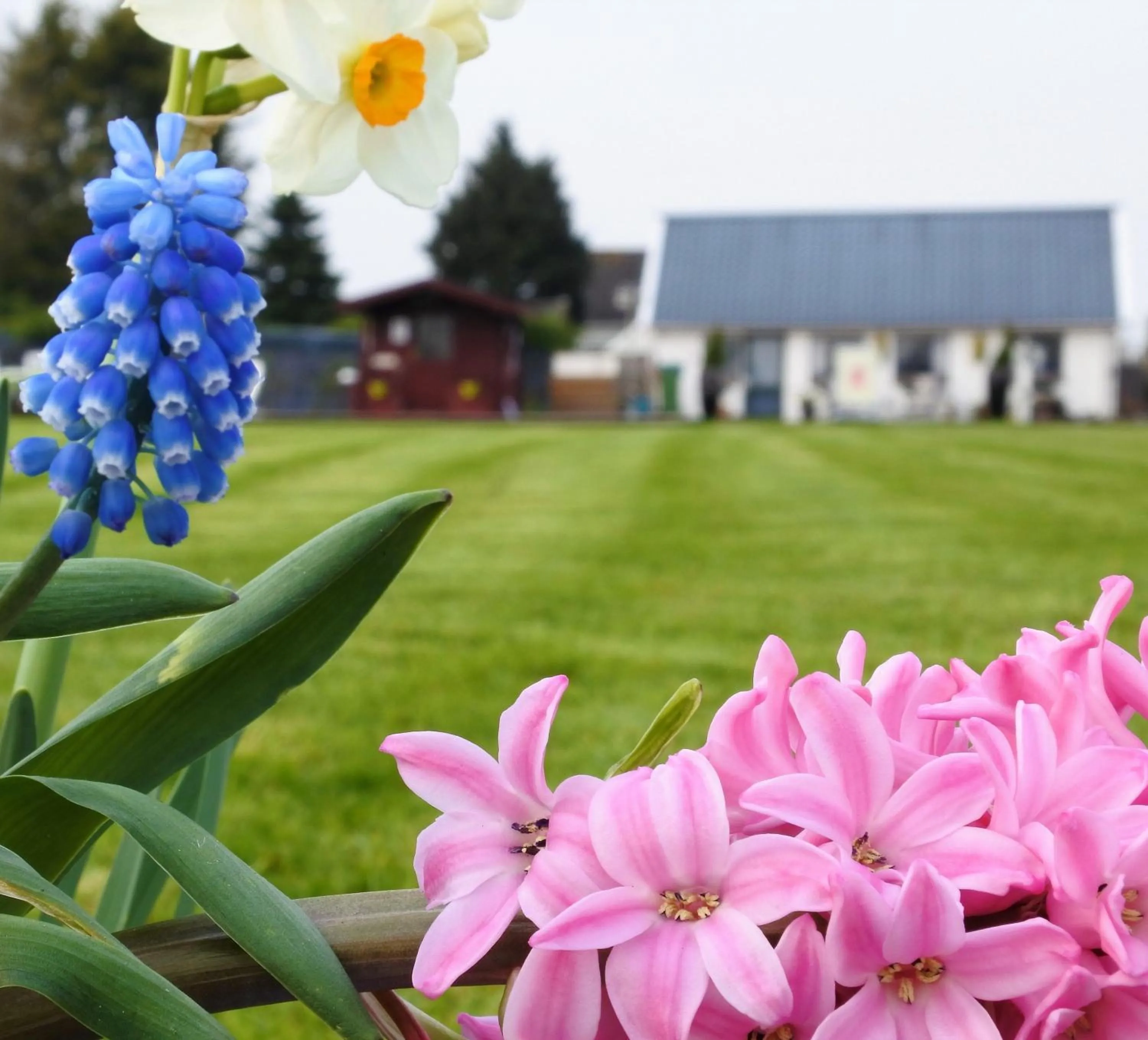 Day in Sfeervol Appartement Het Knooppunt