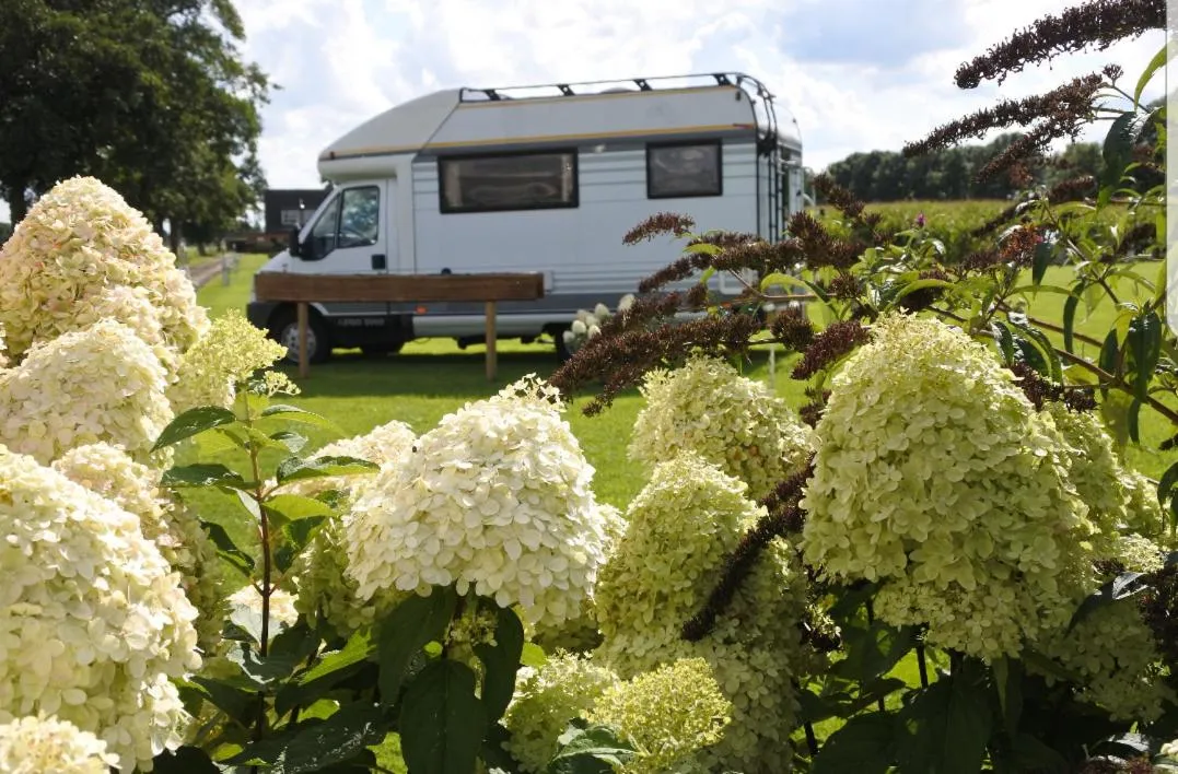 Day in Sfeervol Appartement Het Knooppunt