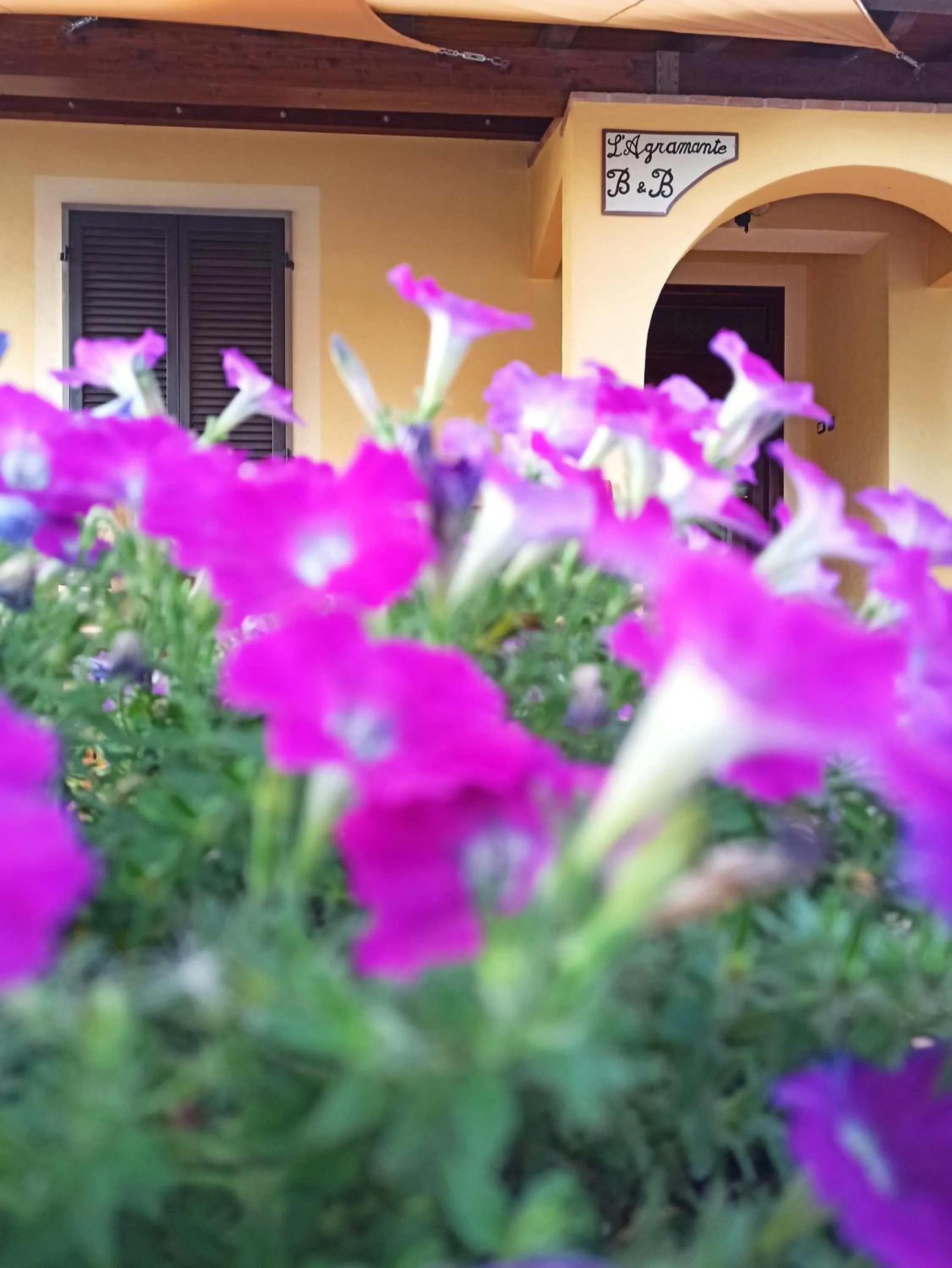 L'Agramante Bed&Breakfast