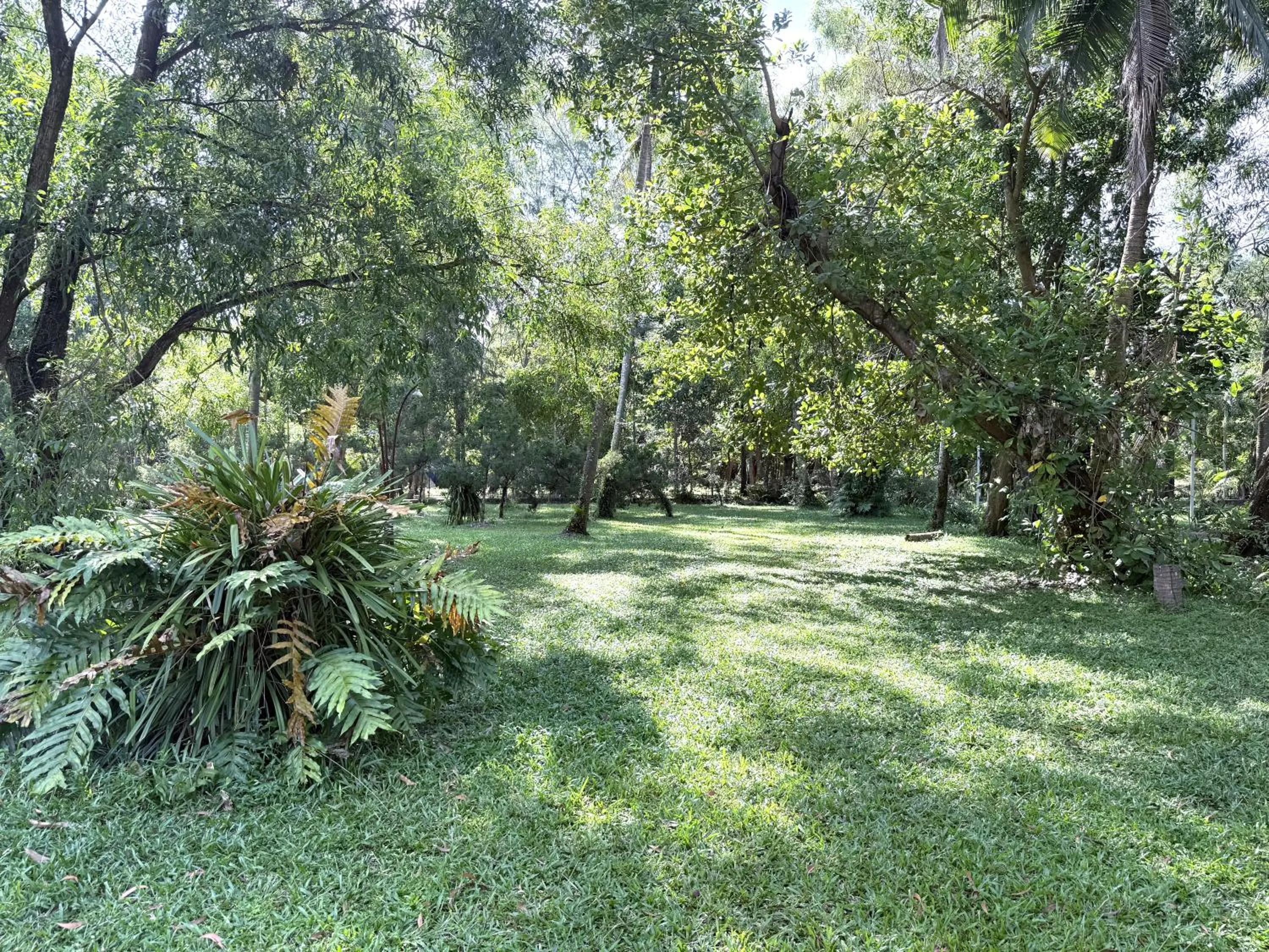 Garden in Nataya Round House Coral Bay Resort