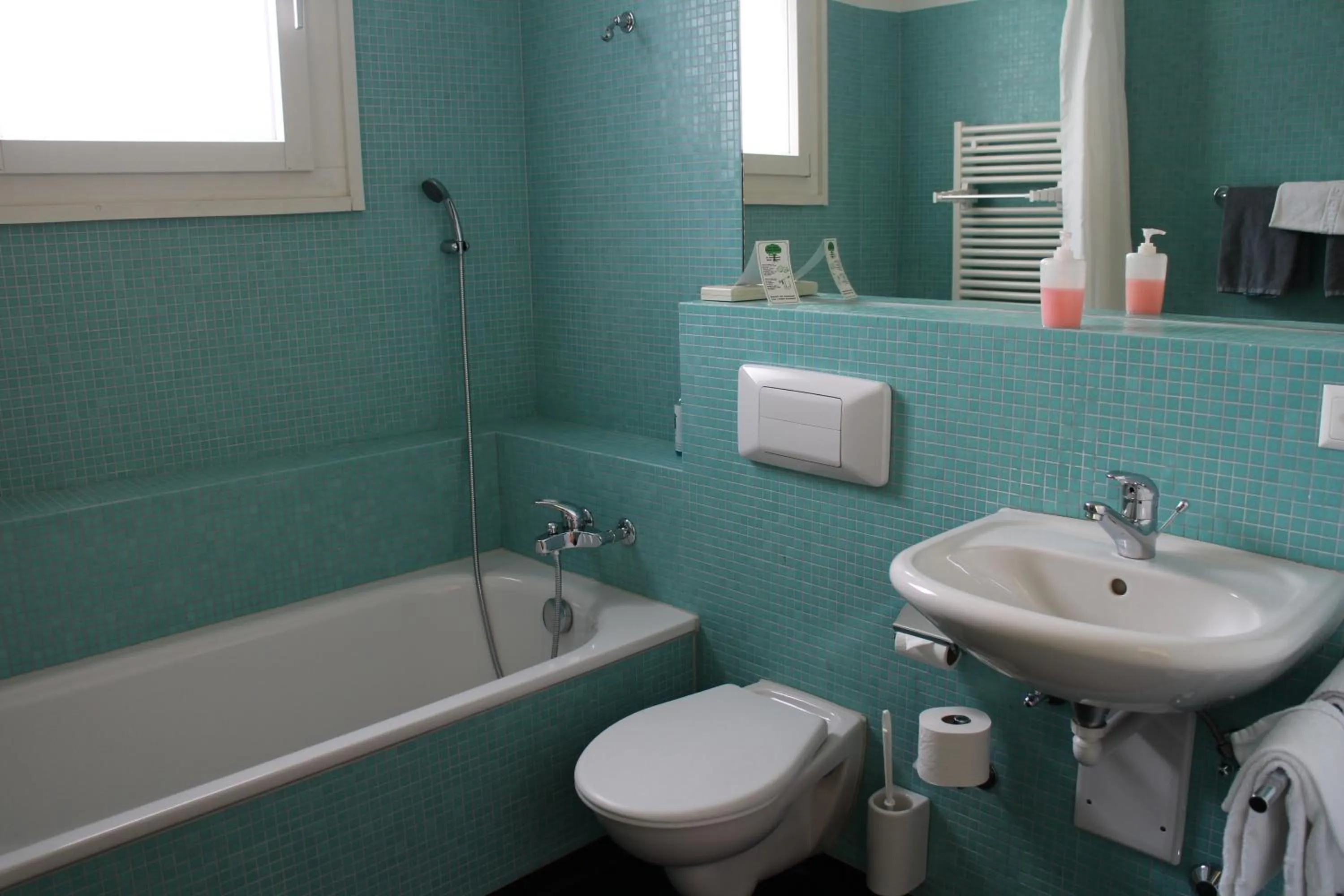 Seminar-Hotel Rigi am See