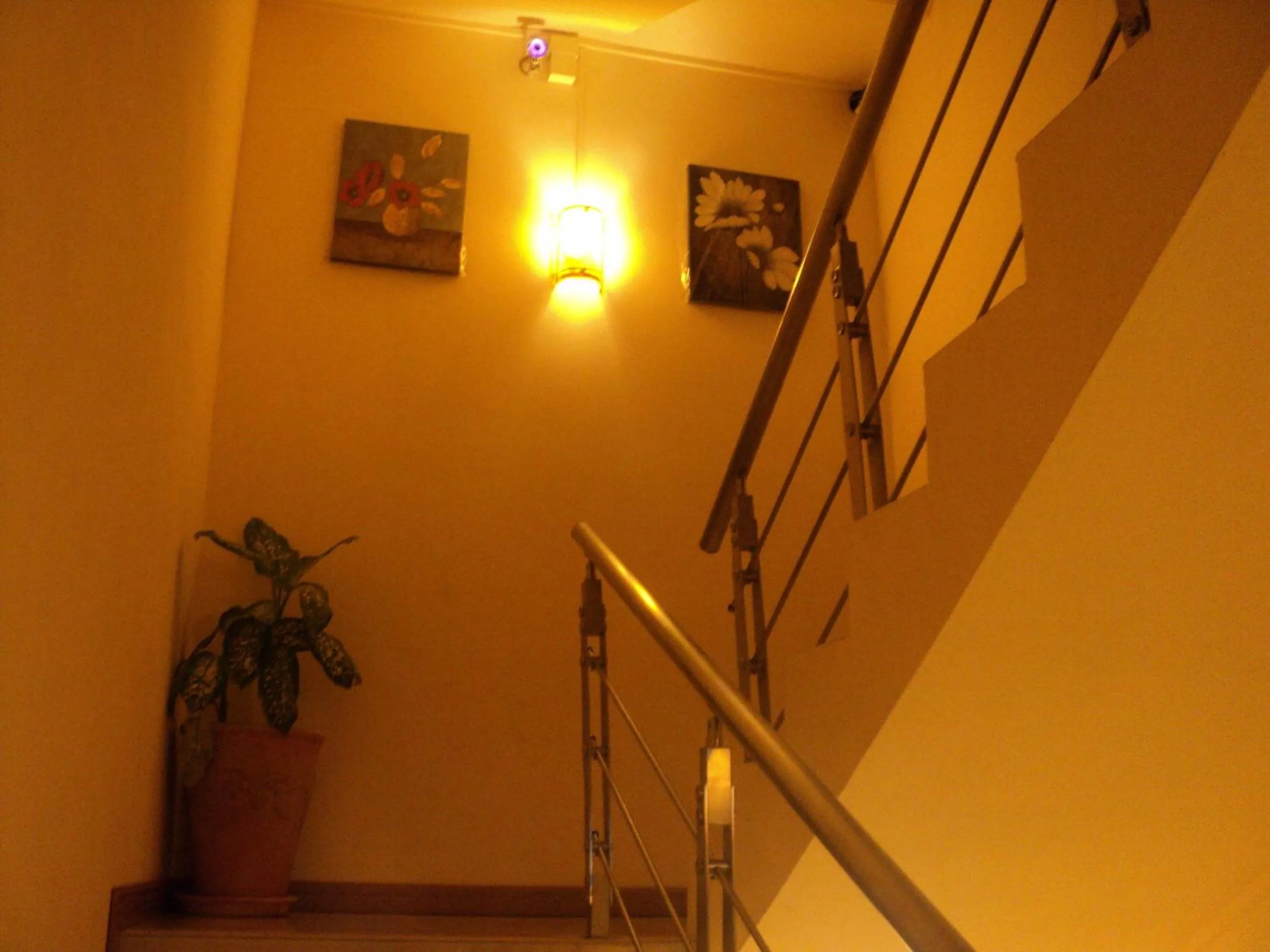 Night in Monalysa St Honore Apartment & Studios Grand Bay