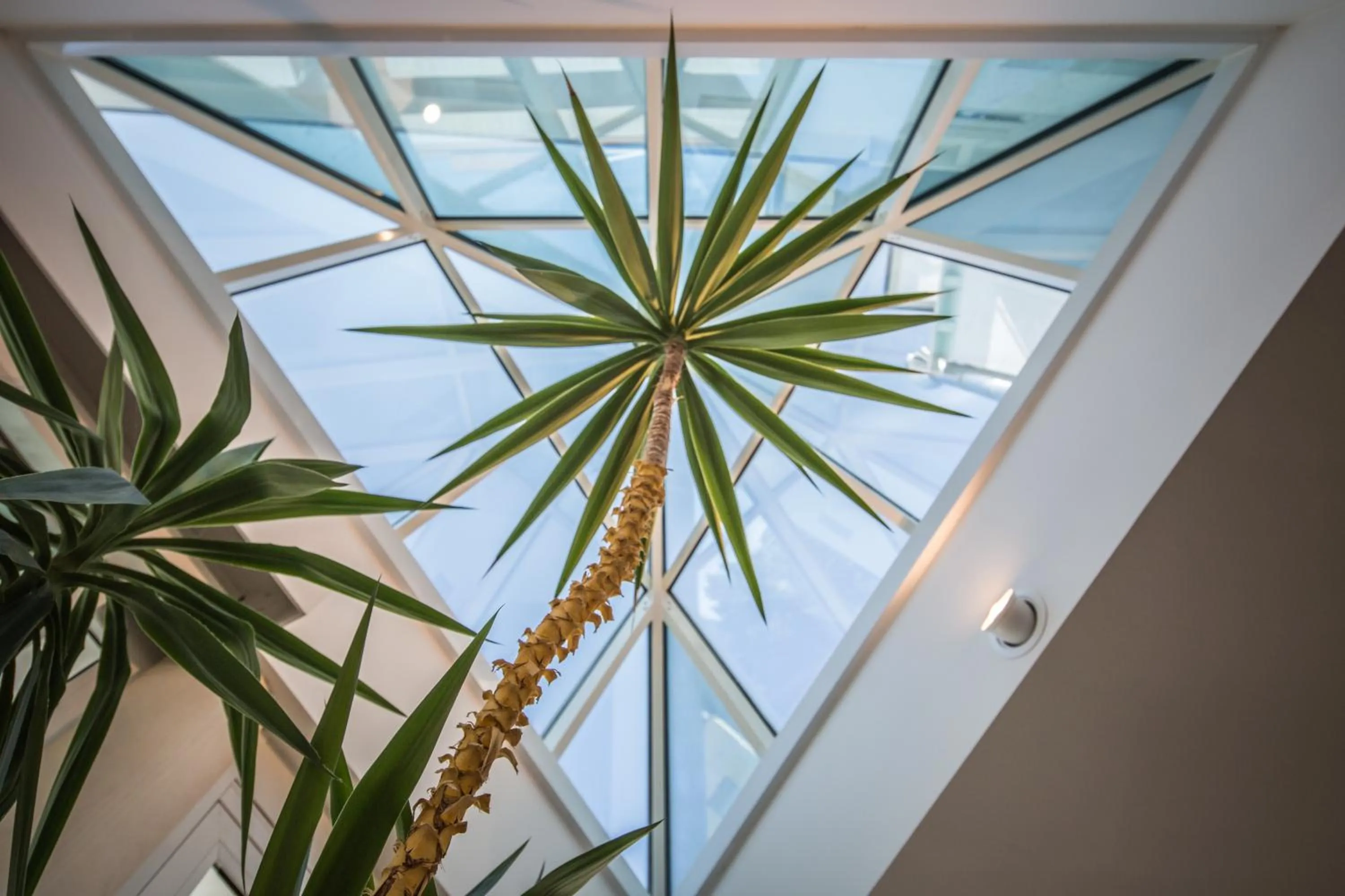 Lobby or reception in Hotel Vittoria