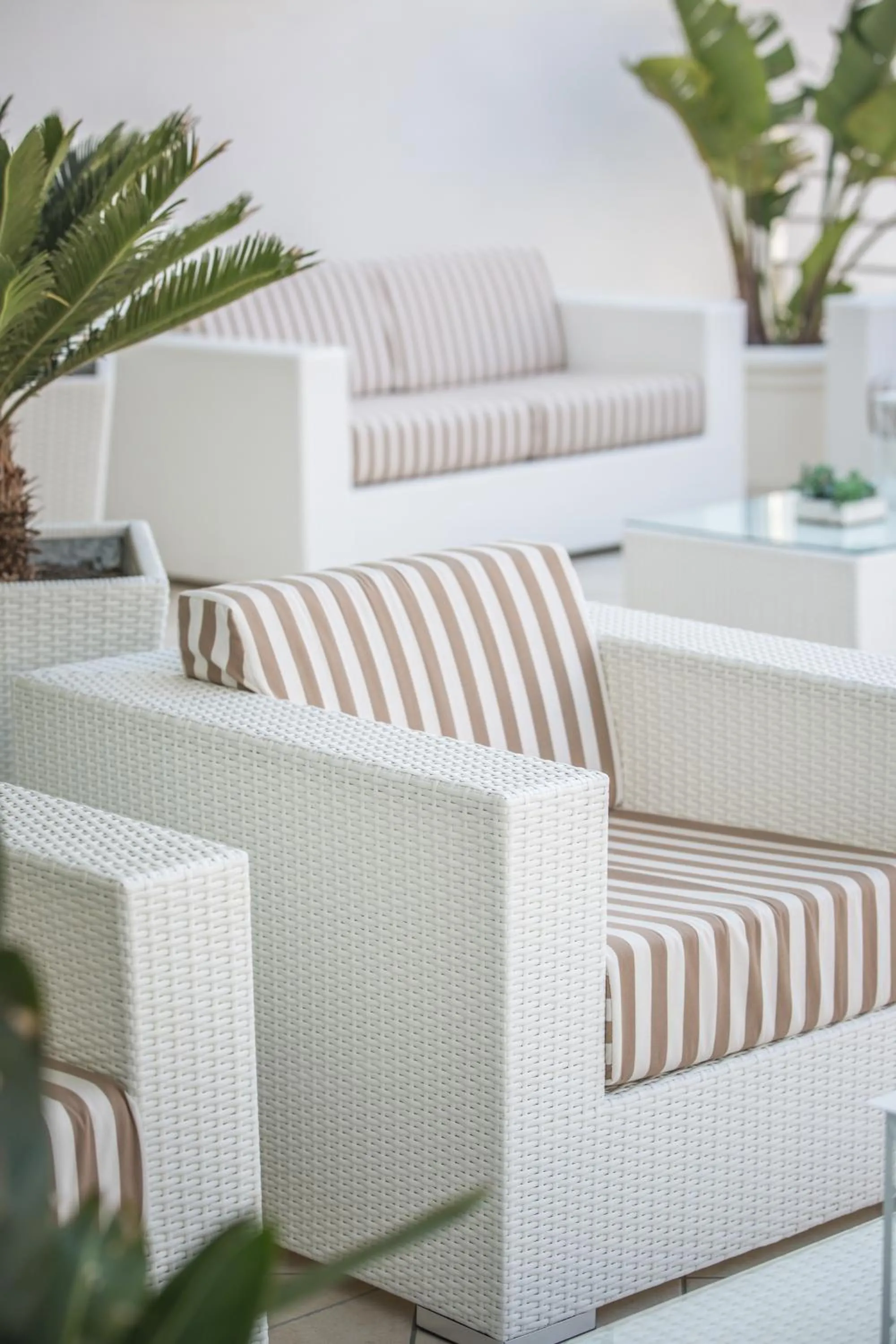 Garden in Hotel Vittoria